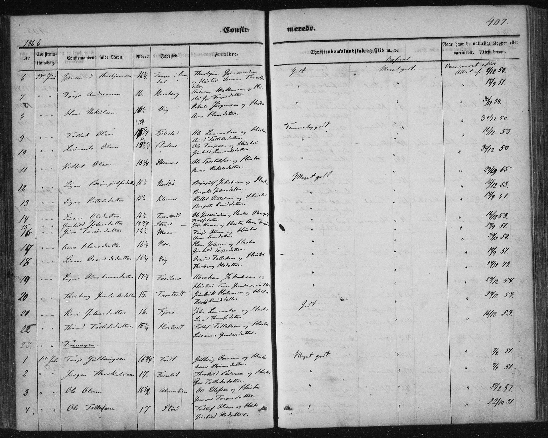 Nissedal kirkebøker, SAKO/A-288/F/Fa/L0003: Parish register (official) no. I 3, 1846-1870, p. 406-407