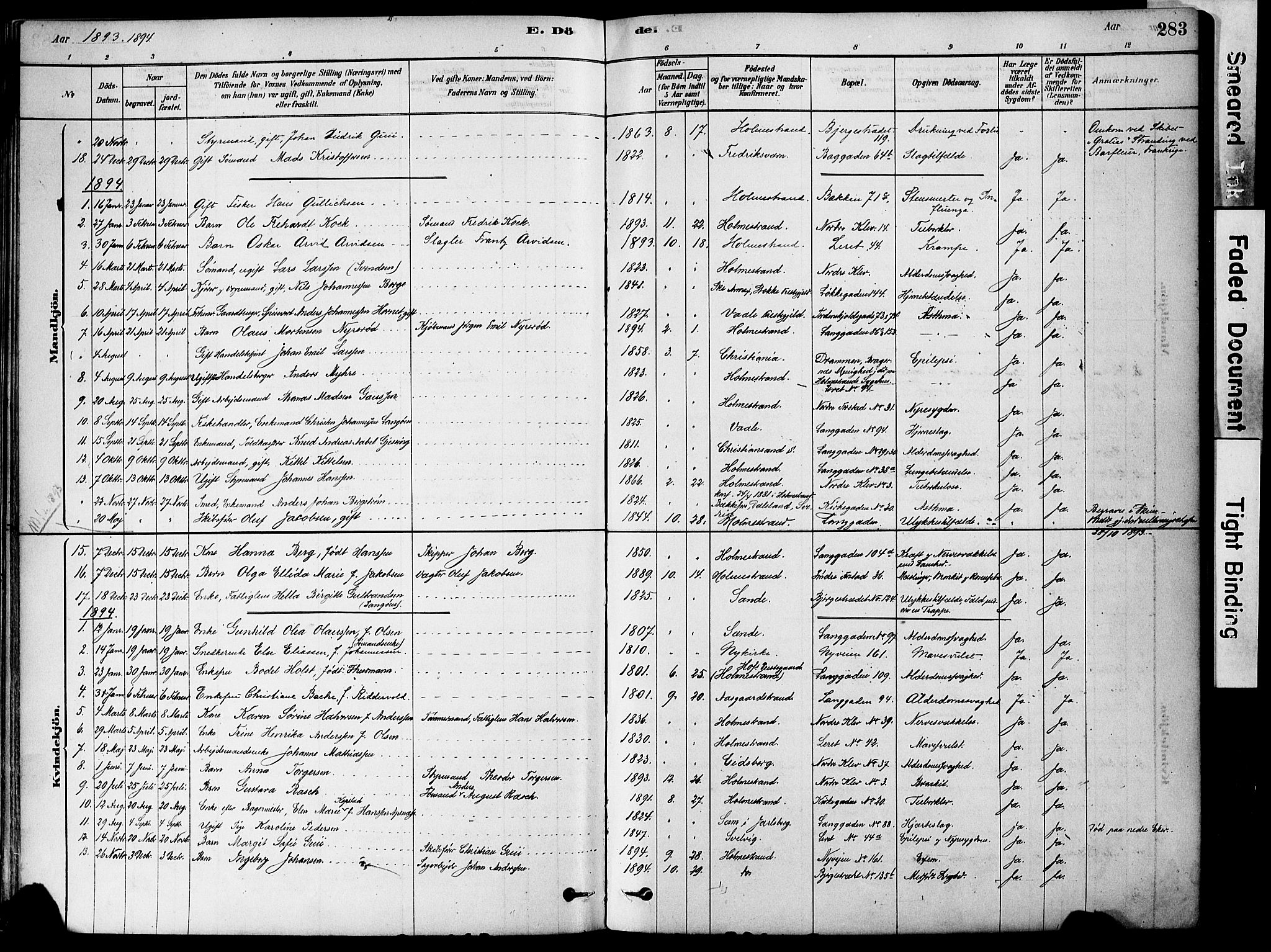 Holmestrand kirkebøker, SAKO/A-346/F/Fa/L0004: Parish register (official) no. 4, 1880-1901, p. 283