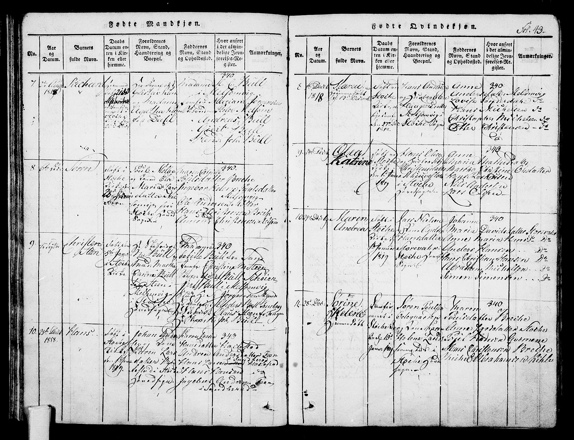 Stokke kirkebøker, SAKO/A-320/F/Fa/L0005: Parish register (official) no. I 5, 1815-1826, p. 43