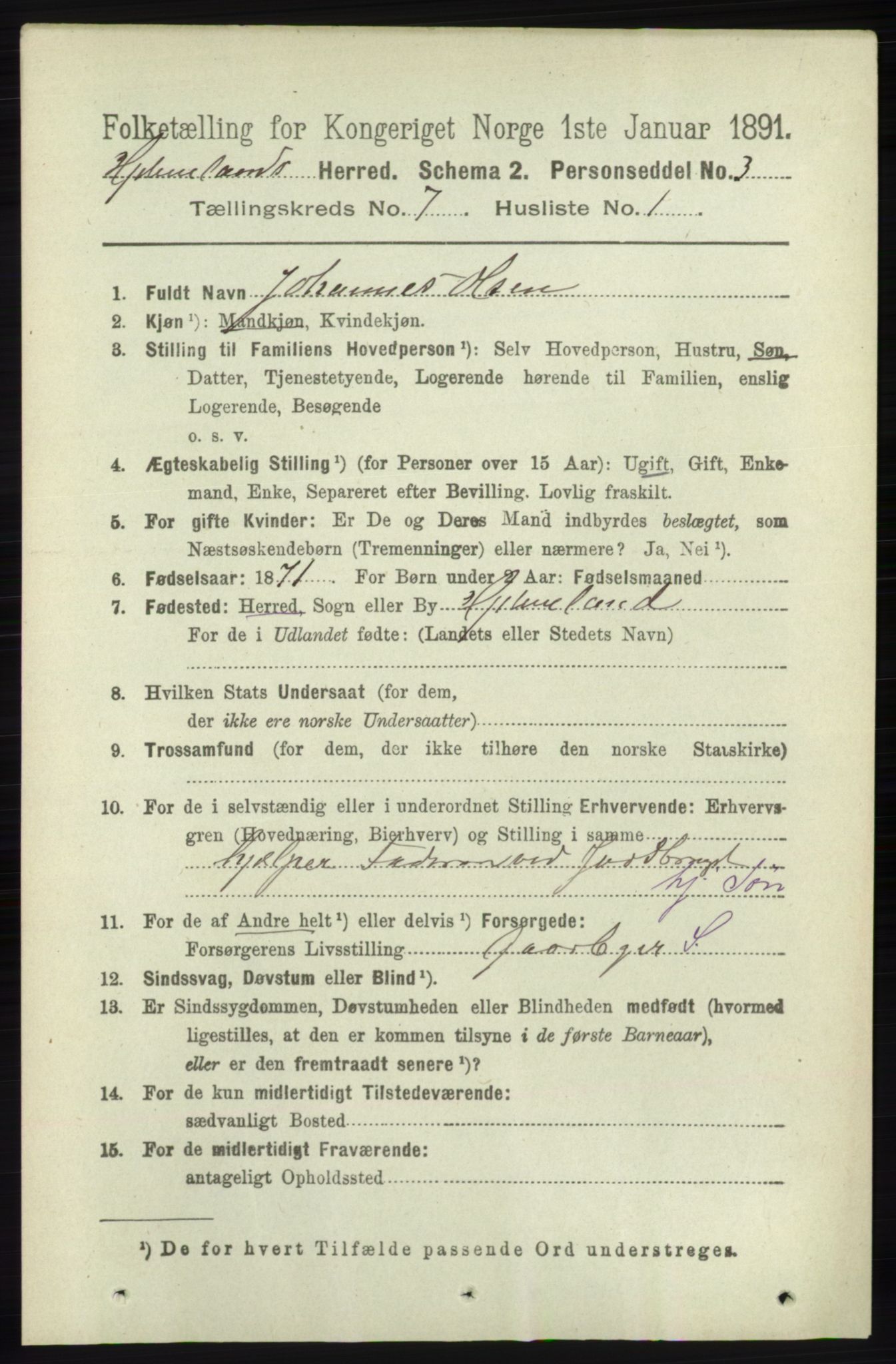 RA, 1891 census for 1133 Hjelmeland, 1891, p. 1951