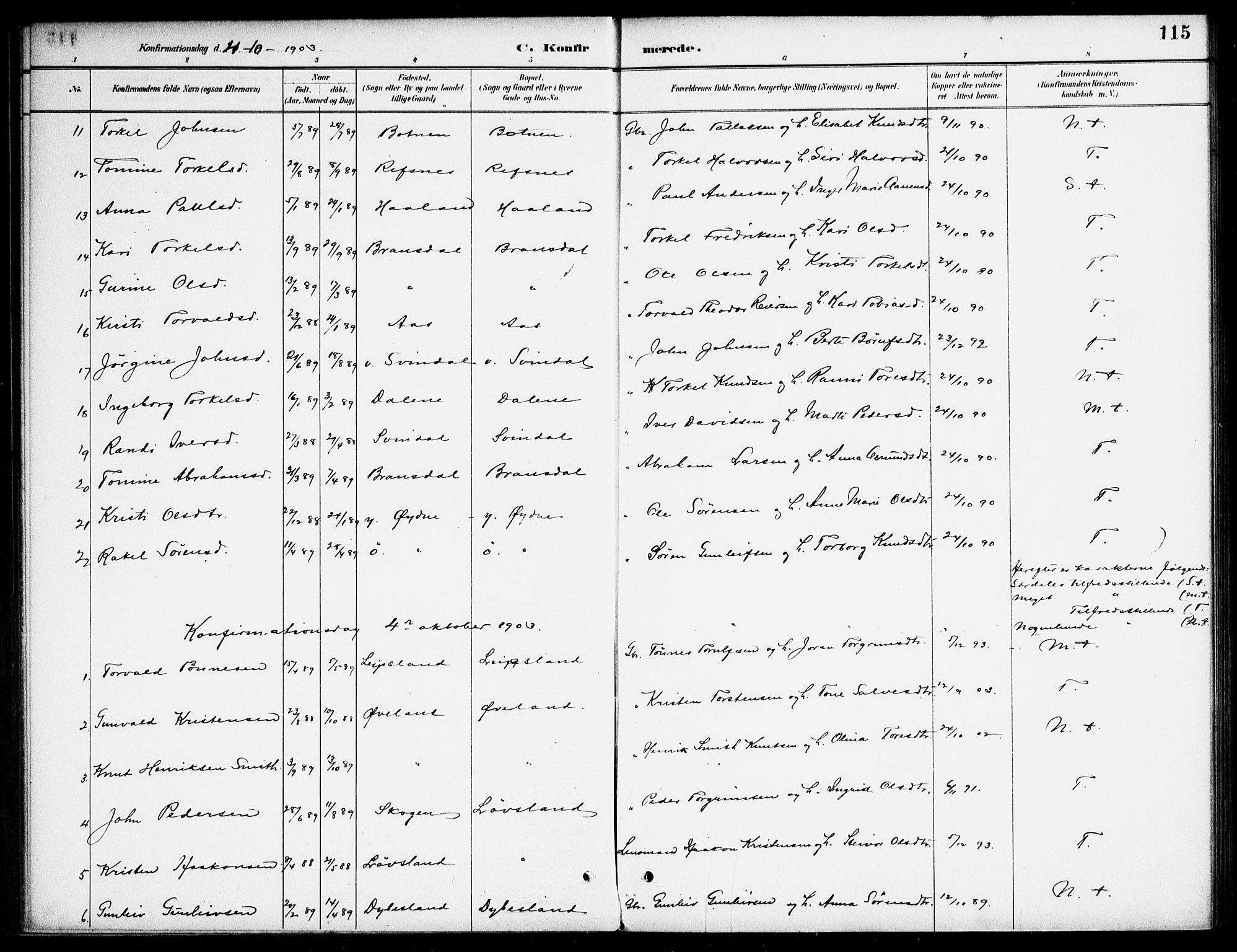 Bjelland sokneprestkontor, SAK/1111-0005/F/Fa/Fab/L0004: Parish register (official) no. A 4, 1887-1920, p. 115