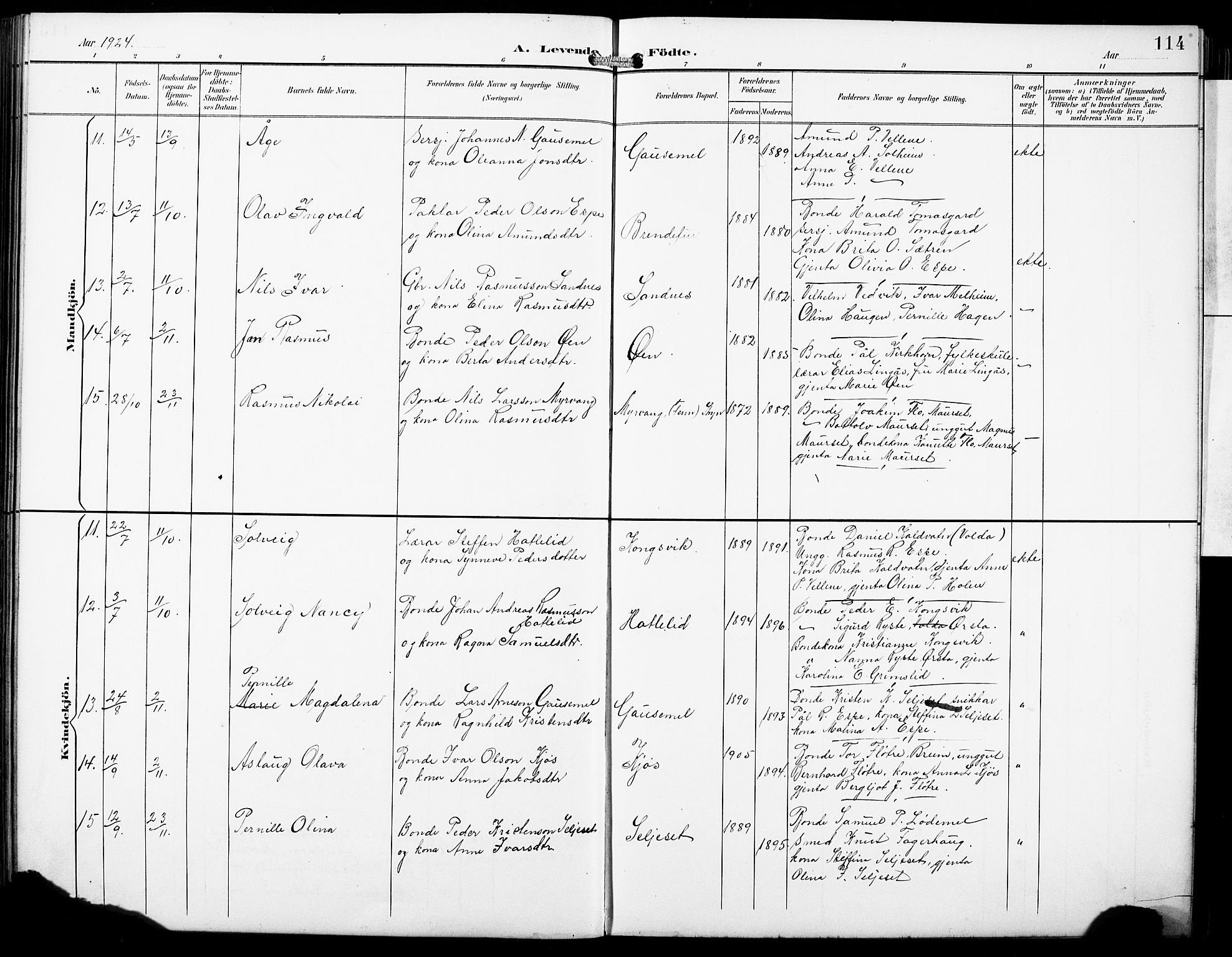 Hornindal sokneprestembete, SAB/A-82401/H/Hab: Parish register (copy) no. A 2, 1894-1927, p. 114
