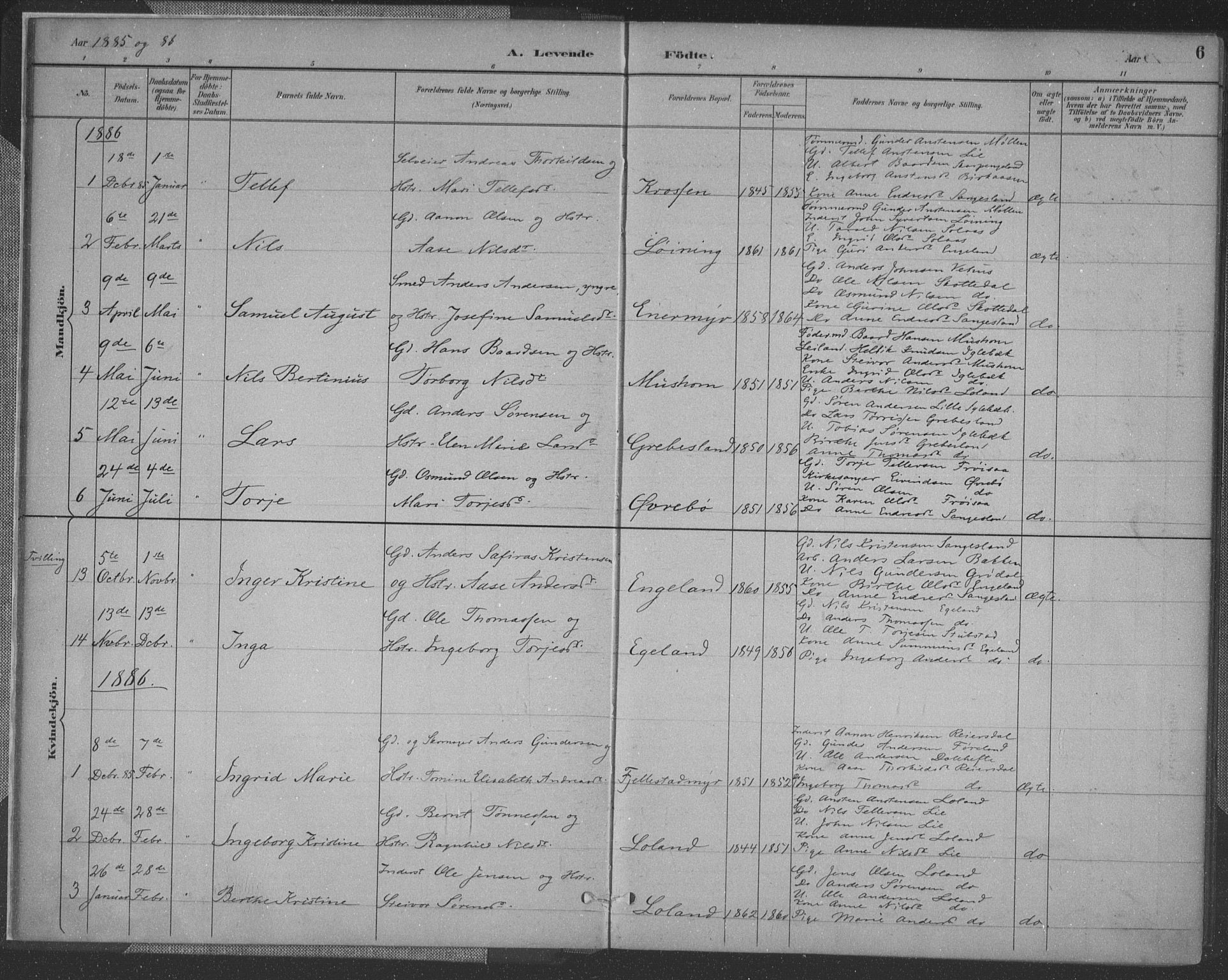 Vennesla sokneprestkontor, AV/SAK-1111-0045/Fa/Fac/L0009: Parish register (official) no. A 9, 1884-1901, p. 6