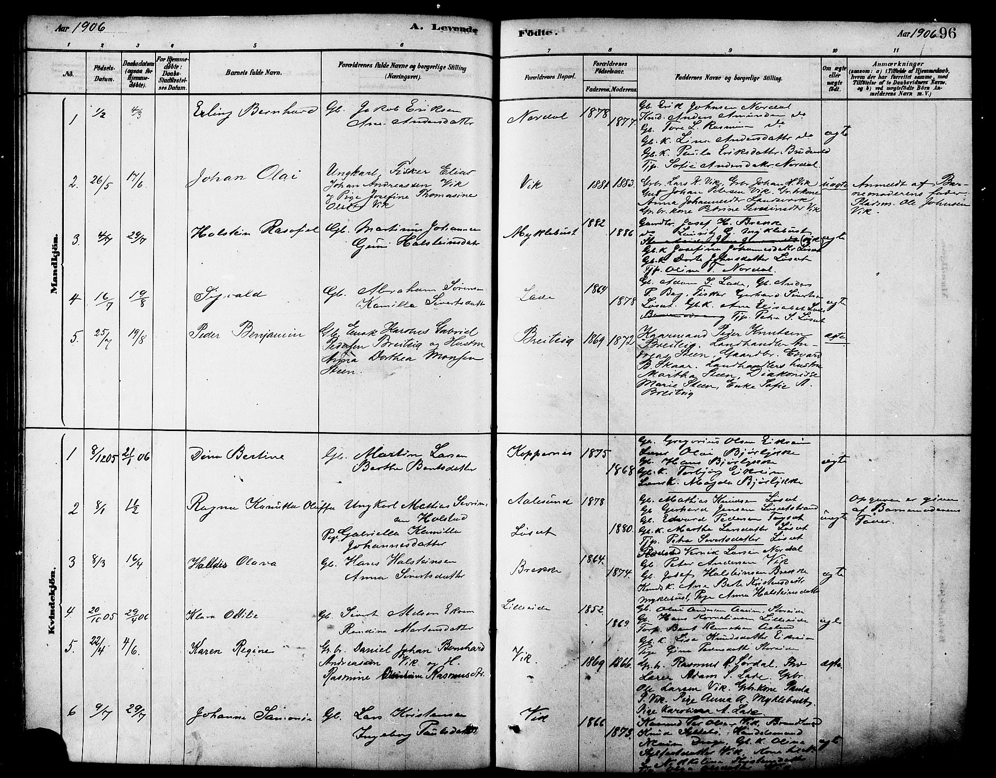 Ministerialprotokoller, klokkerbøker og fødselsregistre - Møre og Romsdal, AV/SAT-A-1454/502/L0027: Parish register (copy) no. 502C01, 1878-1908, p. 96