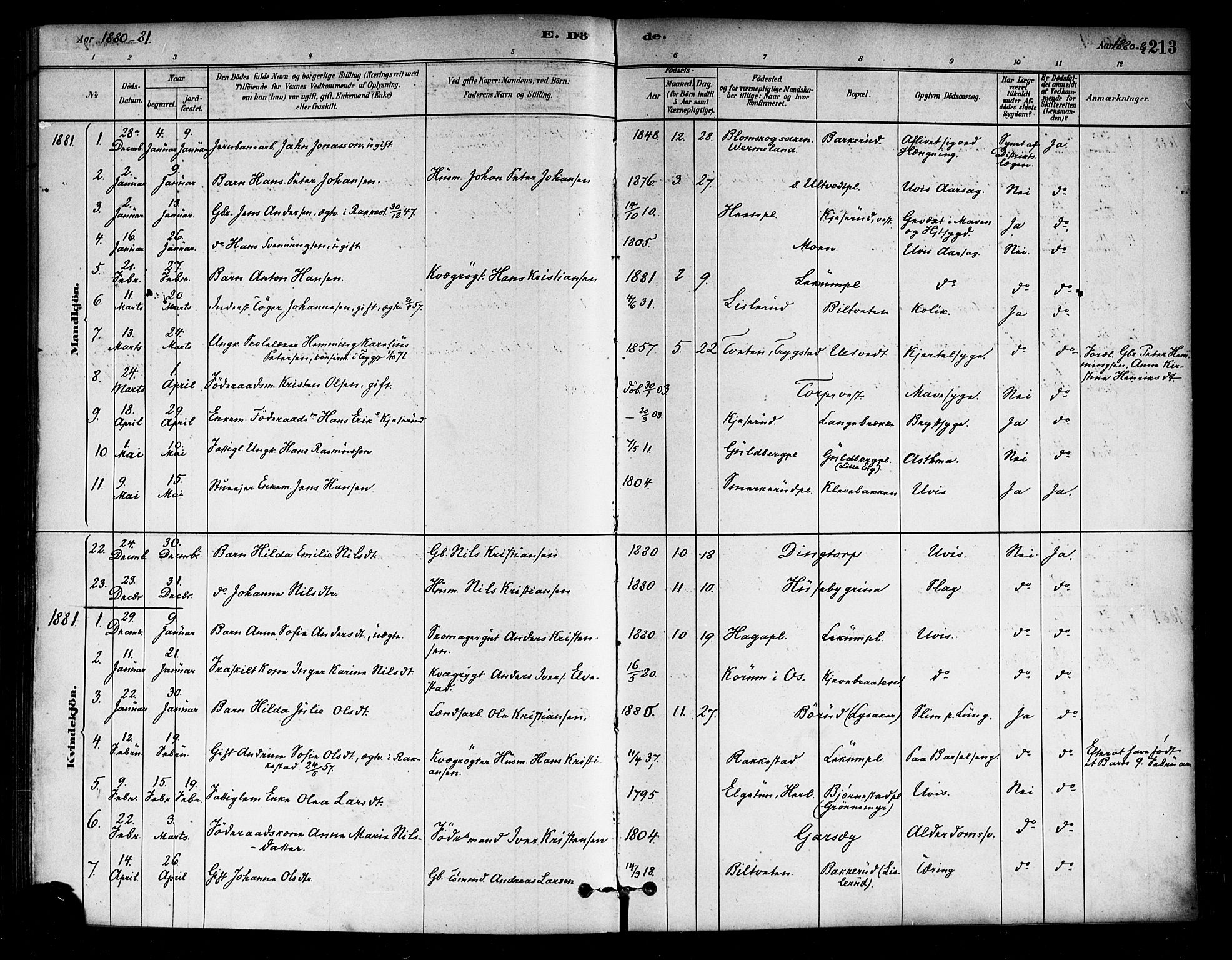 Eidsberg prestekontor Kirkebøker, SAO/A-10905/F/Fa/L0012: Parish register (official) no. I 12, 1879-1901, p. 213