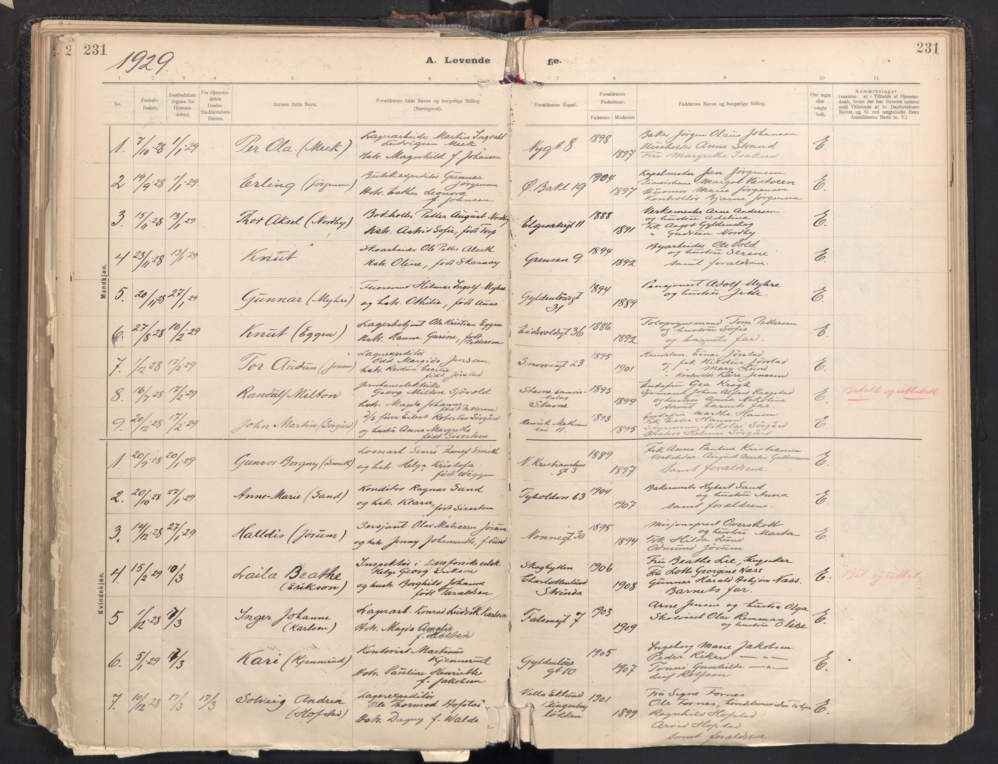 Ministerialprotokoller, klokkerbøker og fødselsregistre - Sør-Trøndelag, AV/SAT-A-1456/604/L0205: Parish register (official) no. 604A25, 1917-1932, p. 231