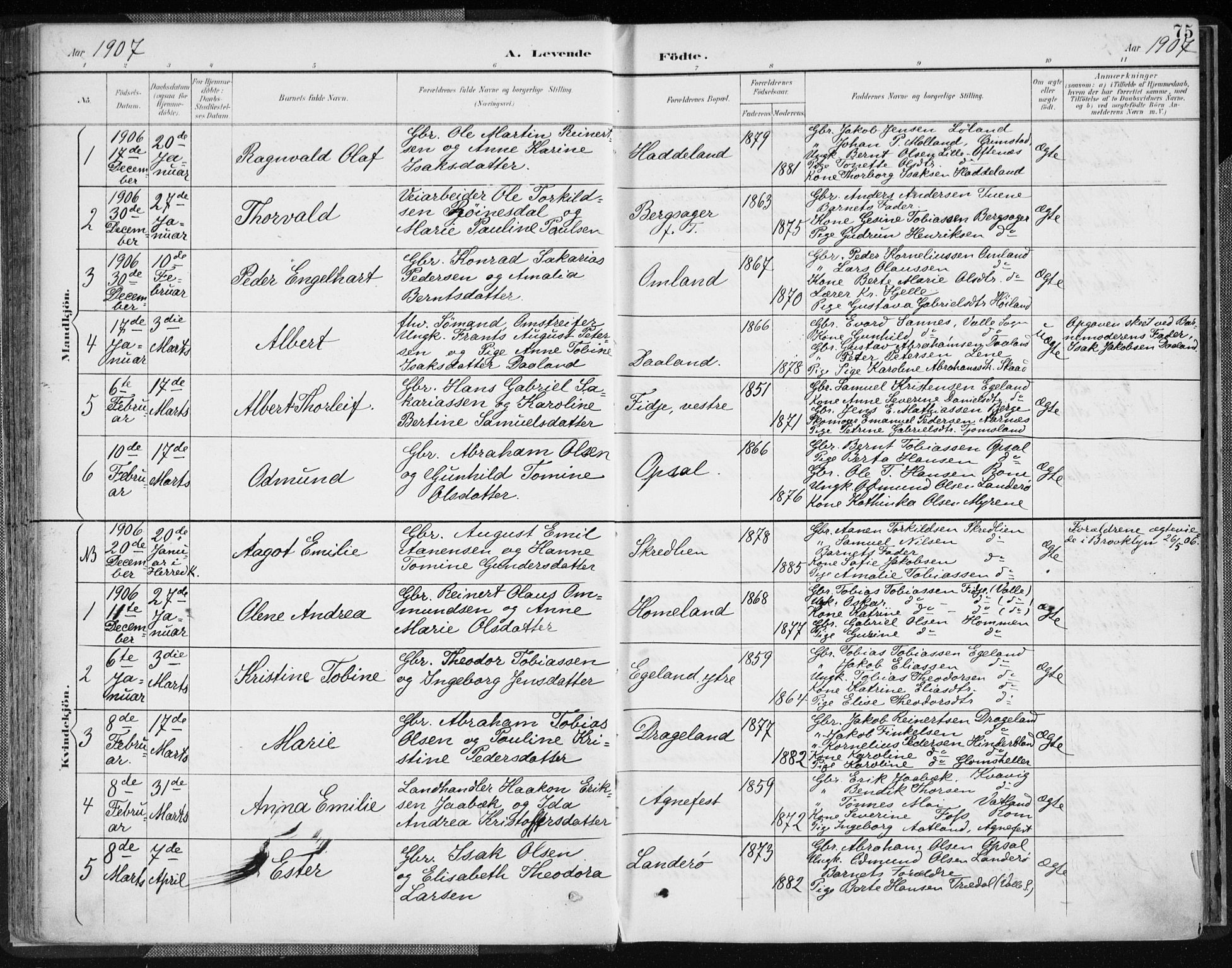 Lyngdal sokneprestkontor, AV/SAK-1111-0029/F/Fa/Fac/L0012: Parish register (official) no. A 12, 1894-1918, p. 75