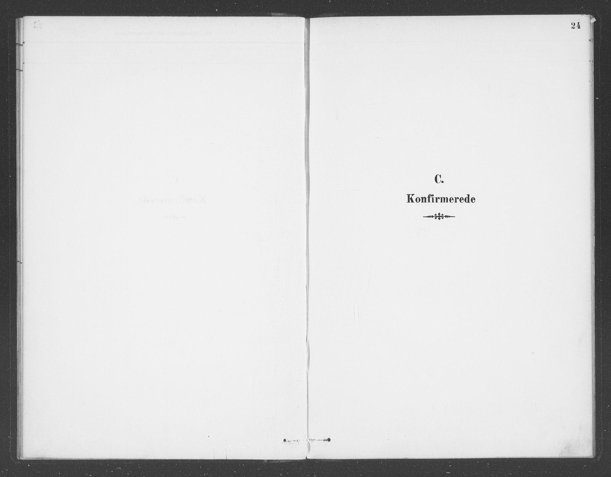 Balestrand sokneprestembete, SAB/A-79601/H/Haa/Haae/L0001: Parish register (official) no. E  1, 1889-1909, p. 24