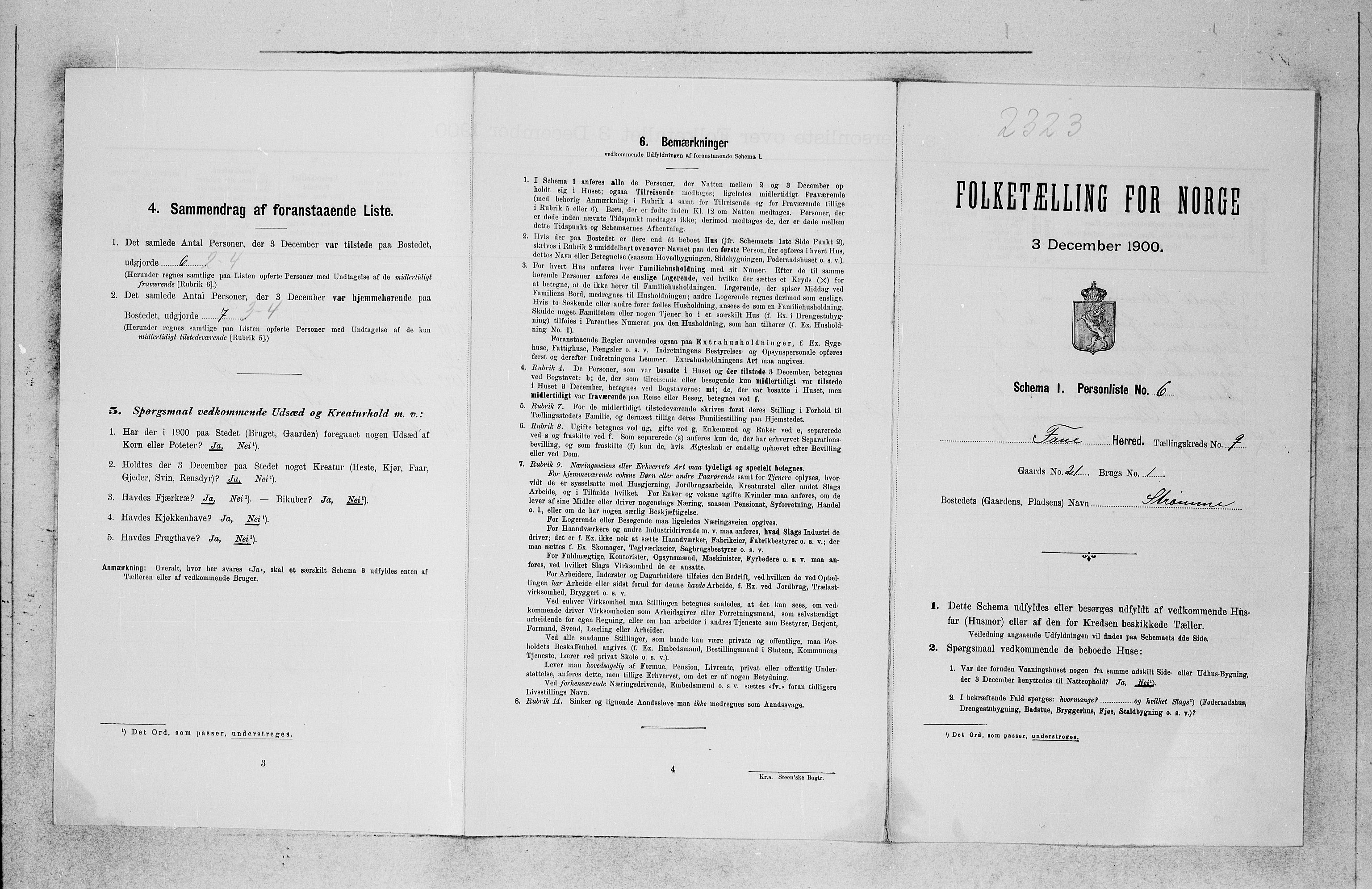 SAB, 1900 census for Fana, 1900, p. 974