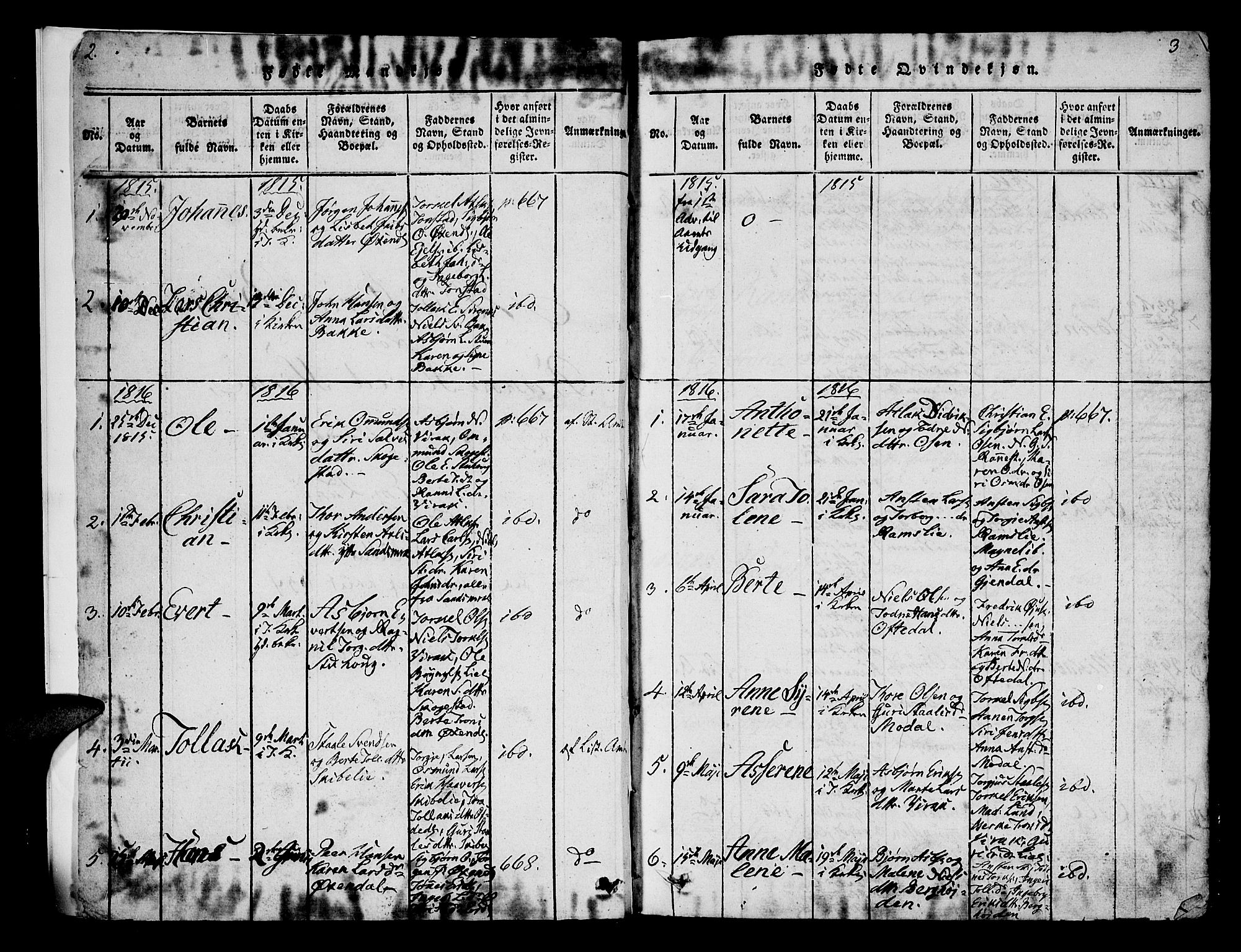 Bakke sokneprestkontor, SAK/1111-0002/F/Fa/Faa/L0003: Parish register (official) no. A 3, 1815-1835, p. 2-3