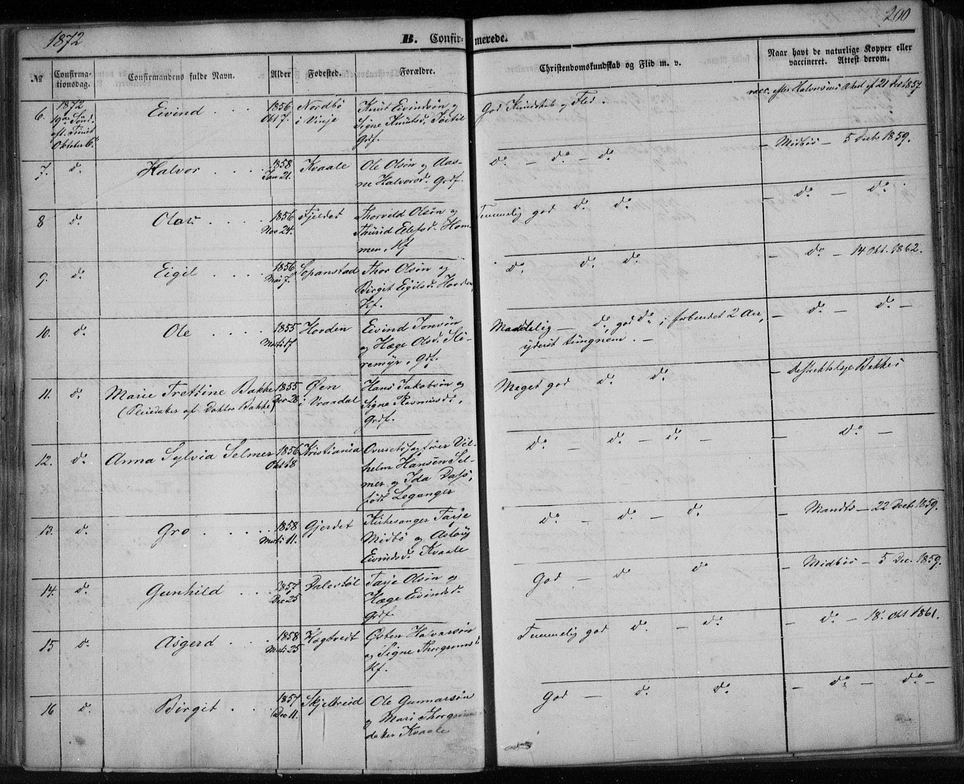 Lårdal kirkebøker, SAKO/A-284/F/Fa/L0006: Parish register (official) no. I 6, 1861-1886, p. 200