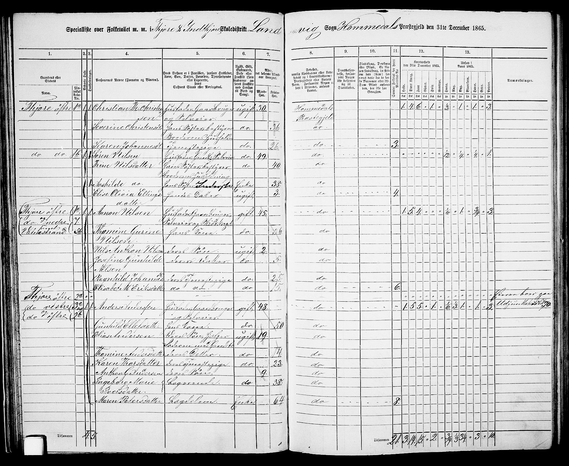 RA, 1865 census for Homedal, 1865, p. 44