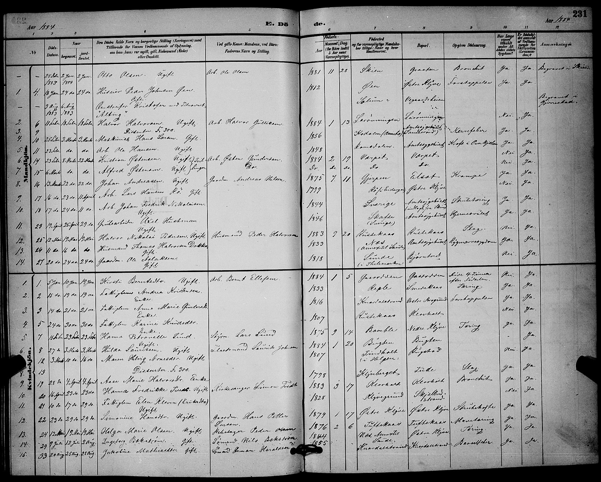 Solum kirkebøker, AV/SAKO-A-306/G/Ga/L0007: Parish register (copy) no. I 7, 1884-1898, p. 231