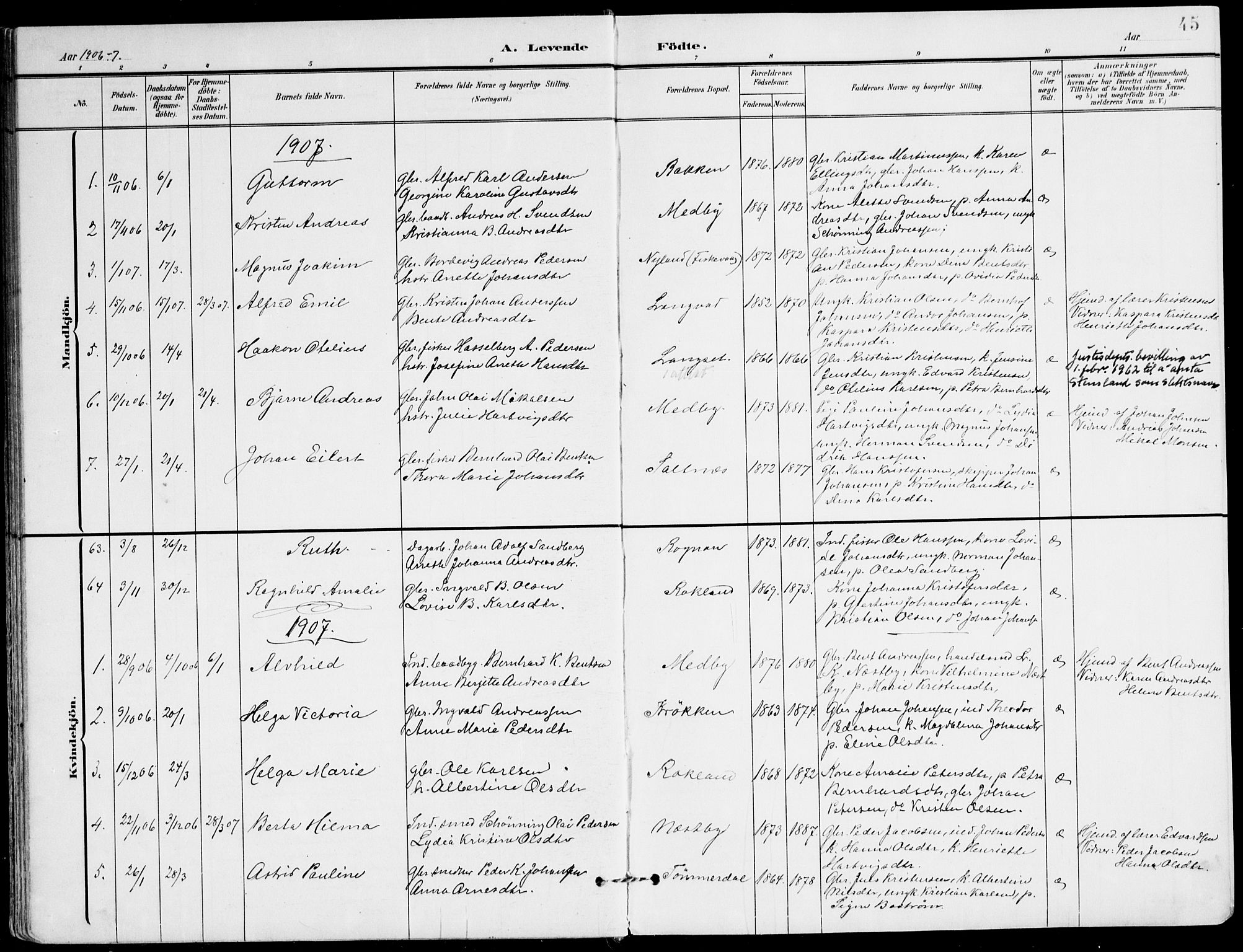 Ministerialprotokoller, klokkerbøker og fødselsregistre - Nordland, SAT/A-1459/847/L0672: Parish register (official) no. 847A12, 1902-1919, p. 45