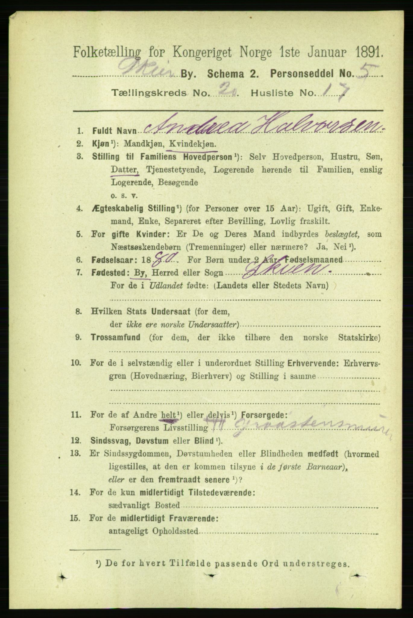 RA, 1891 census for 0806 Skien, 1891, p. 5308