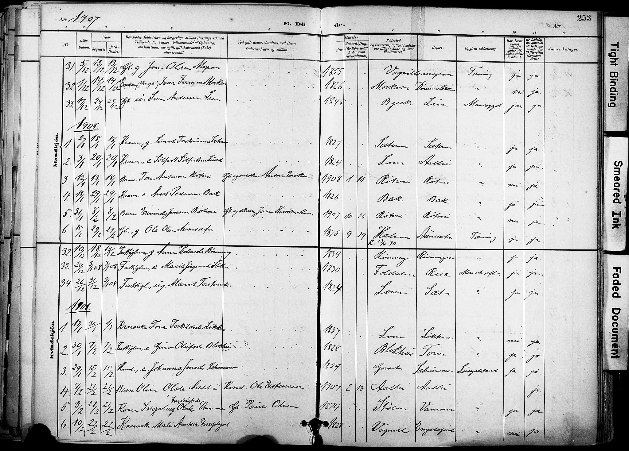 Ministerialprotokoller, klokkerbøker og fødselsregistre - Sør-Trøndelag, AV/SAT-A-1456/678/L0902: Parish register (official) no. 678A11, 1895-1911, p. 253