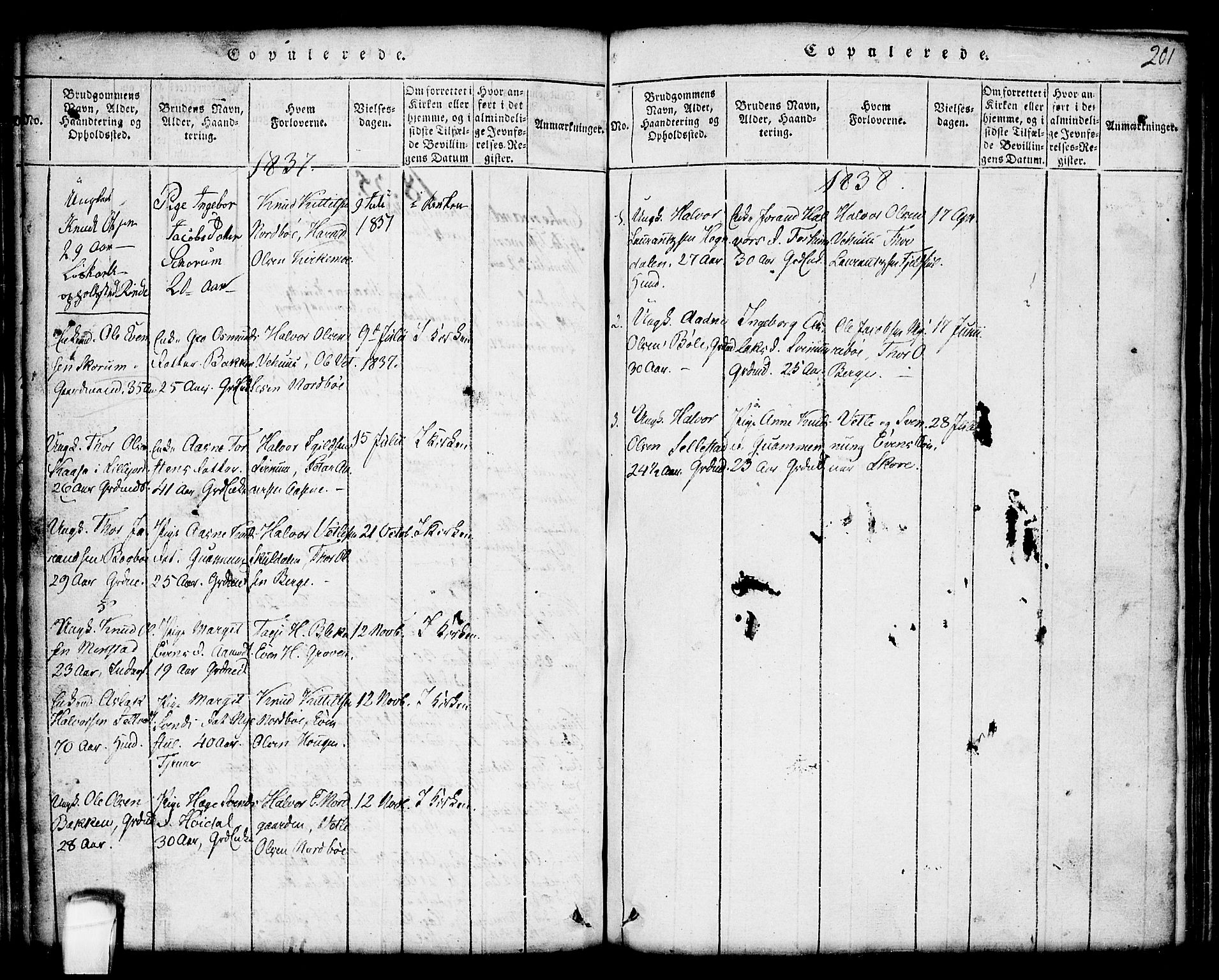 Seljord kirkebøker, SAKO/A-20/G/Gc/L0001: Parish register (copy) no. III 1, 1815-1849, p. 201