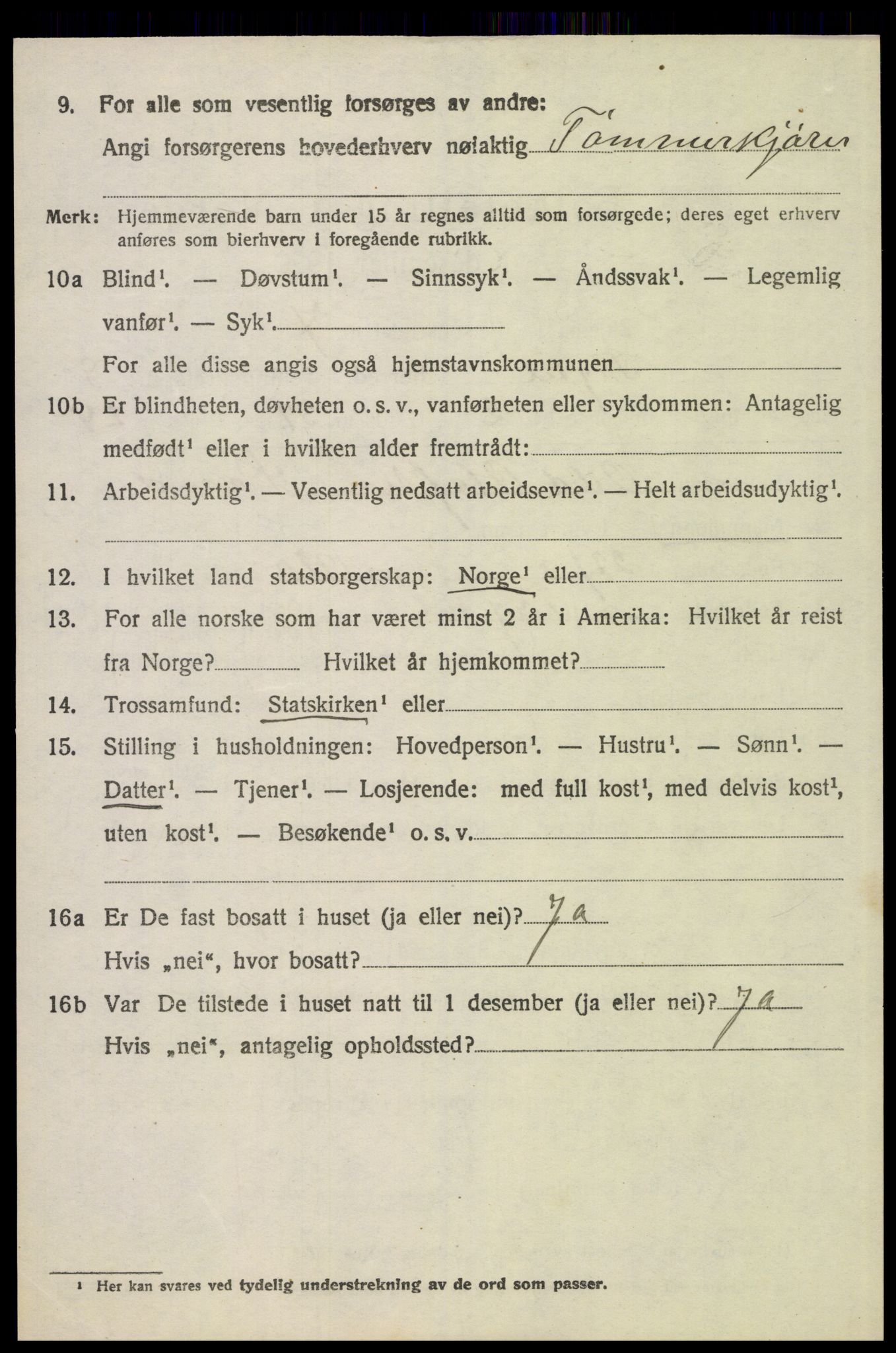 SAH, 1920 census for Trysil, 1920, p. 6246