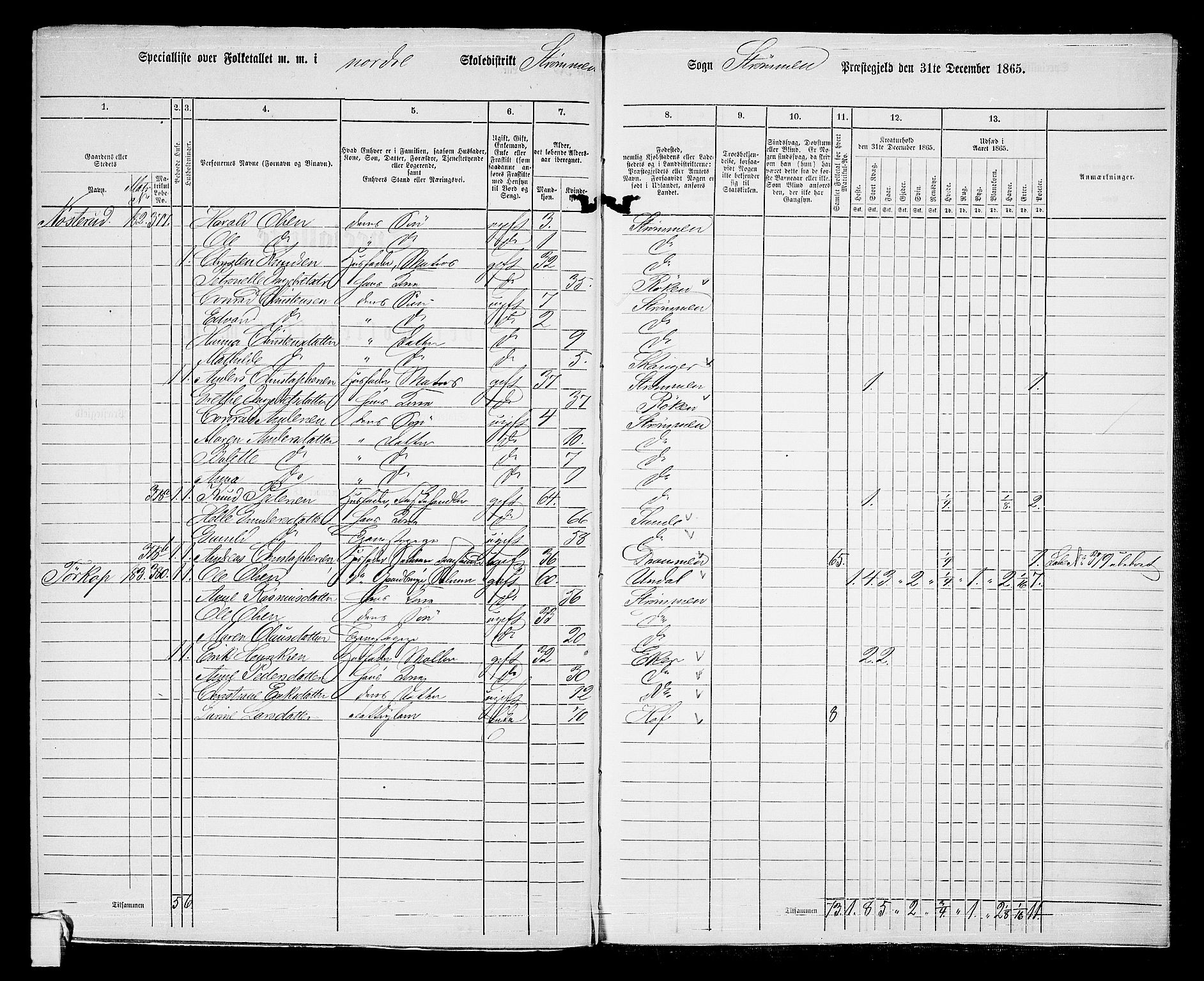 RA, 1865 census for Strømm, 1865, p. 50