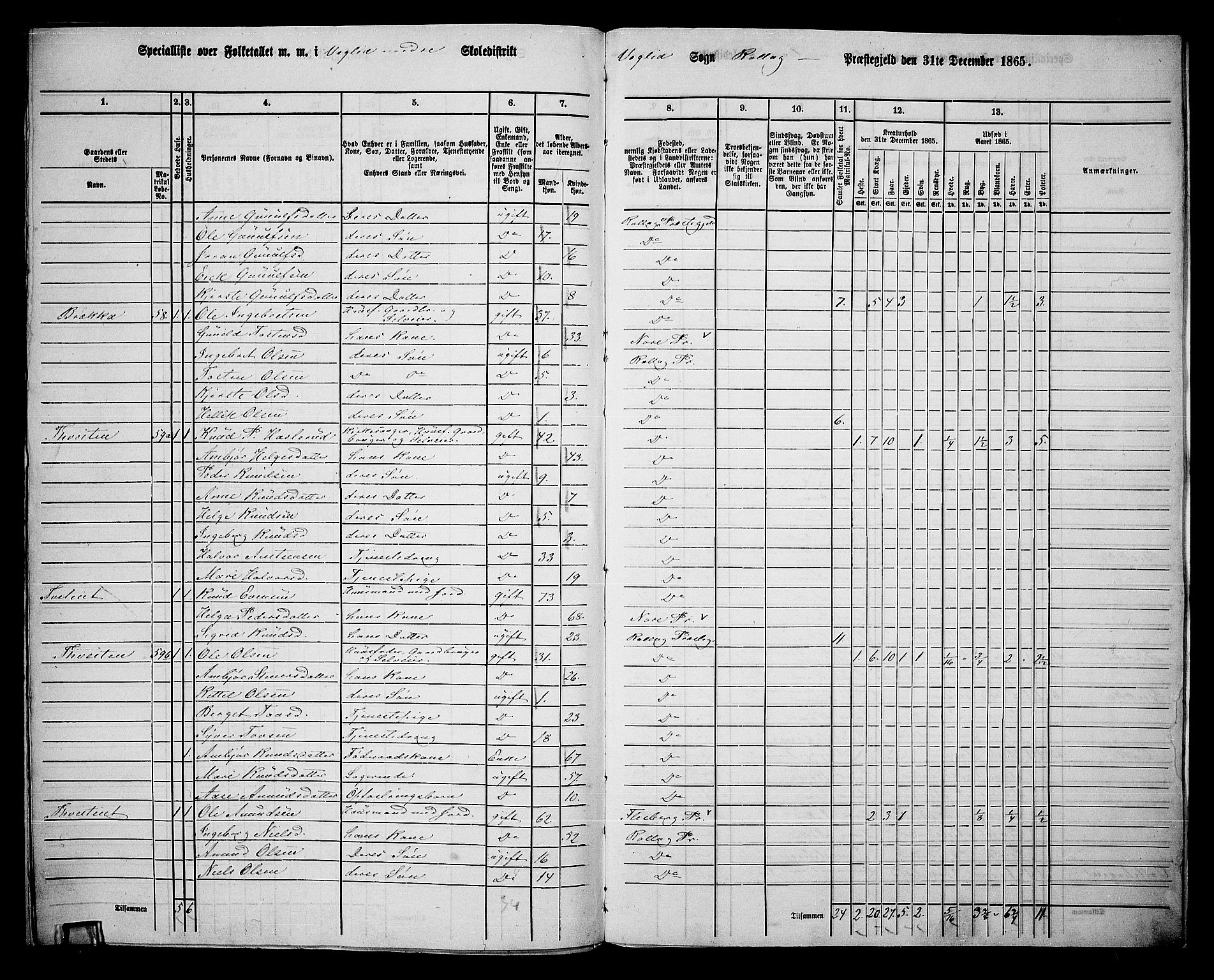 RA, 1865 census for Rollag, 1865, p. 71