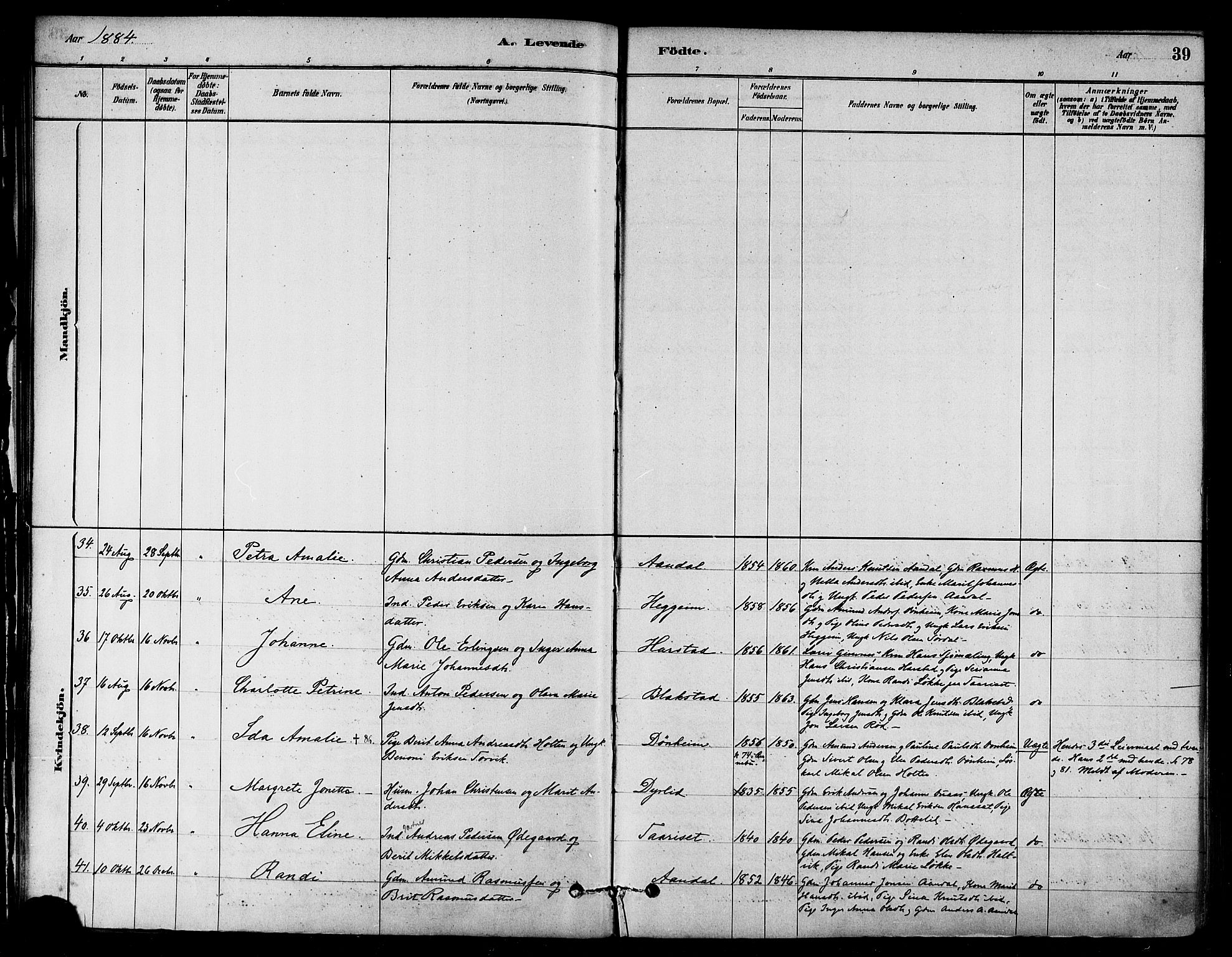 Ministerialprotokoller, klokkerbøker og fødselsregistre - Møre og Romsdal, AV/SAT-A-1454/584/L0967: Parish register (official) no. 584A07, 1879-1894, p. 39