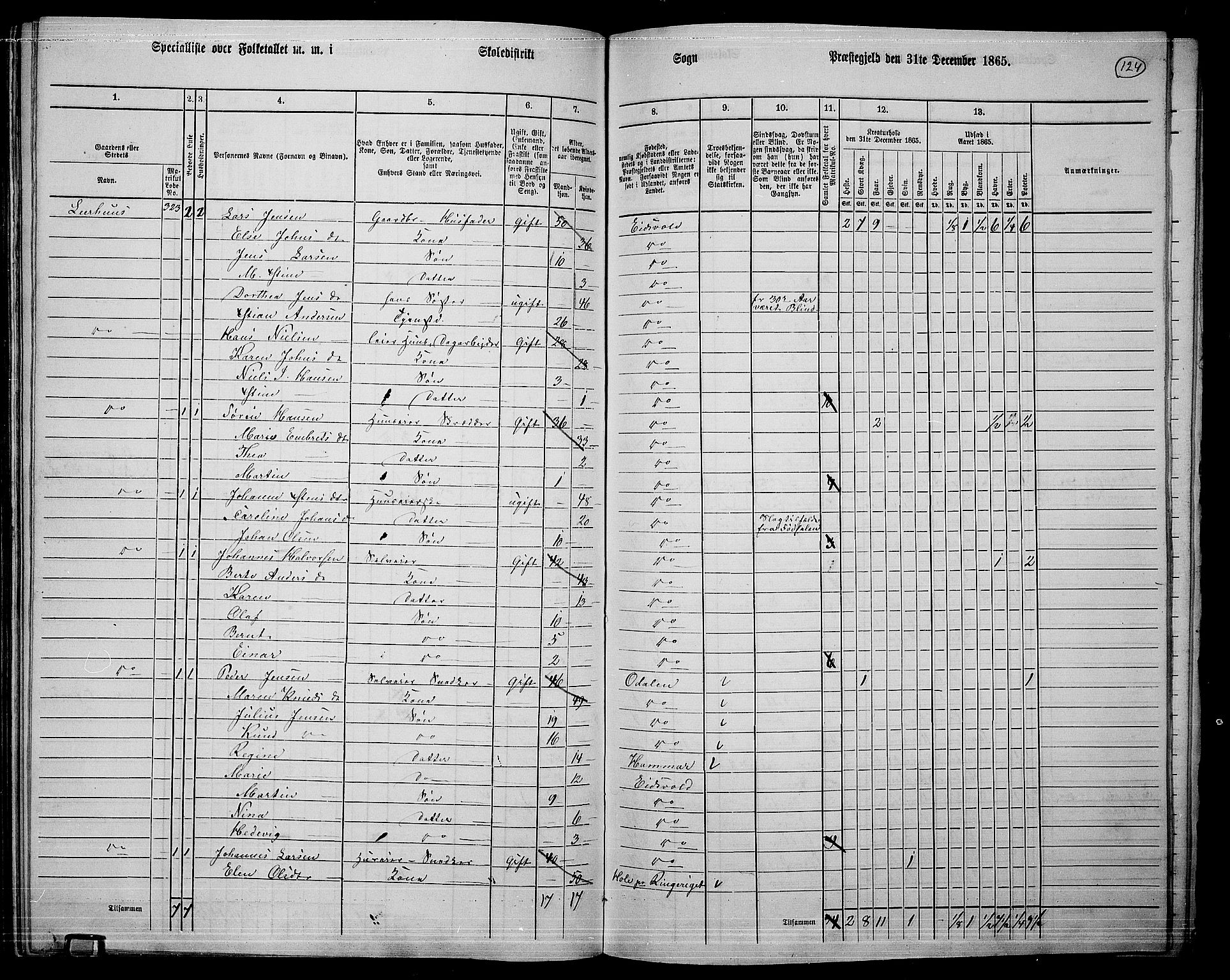 RA, 1865 census for Eidsvoll, 1865, p. 107