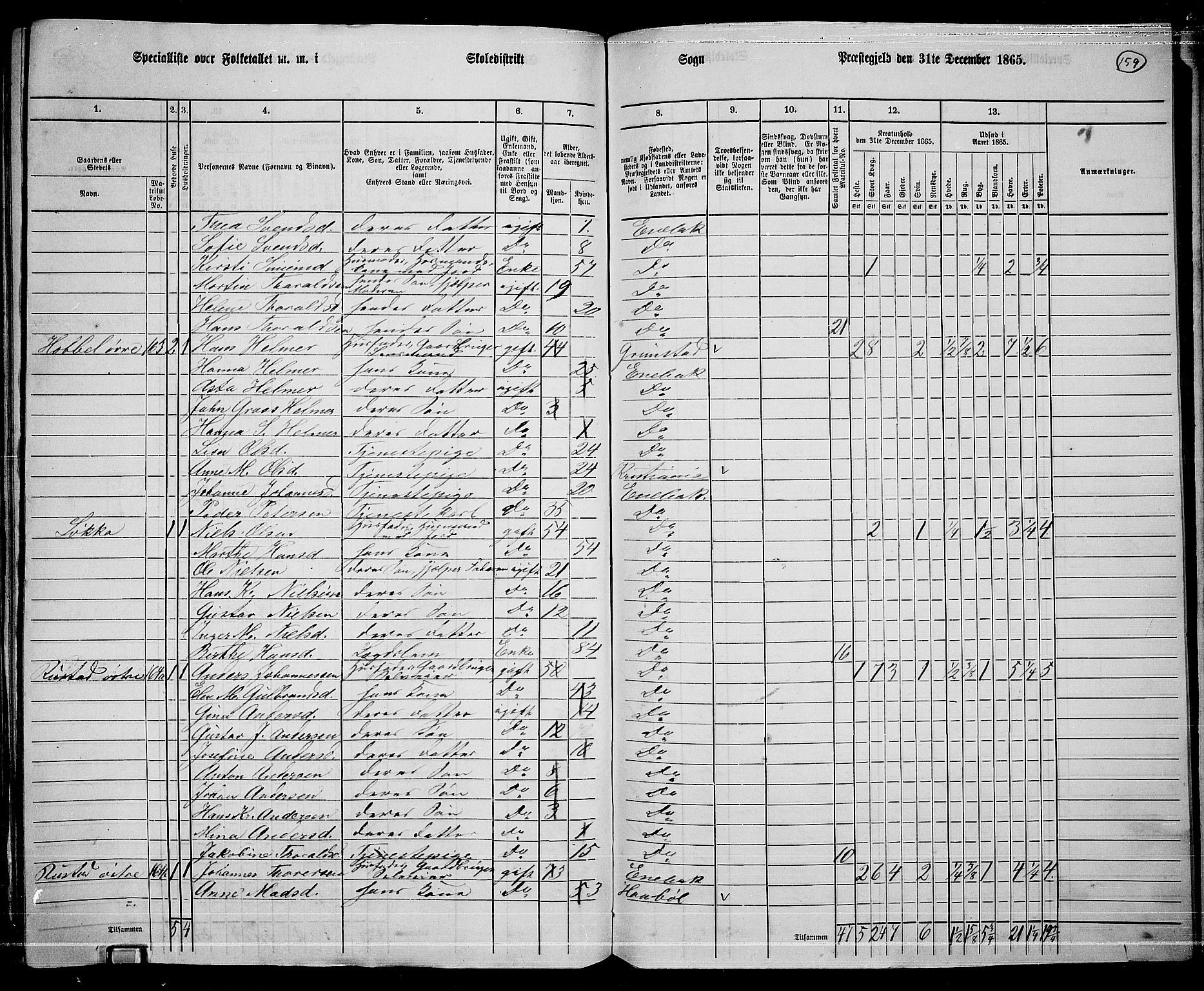 RA, 1865 census for Enebakk, 1865, p. 141