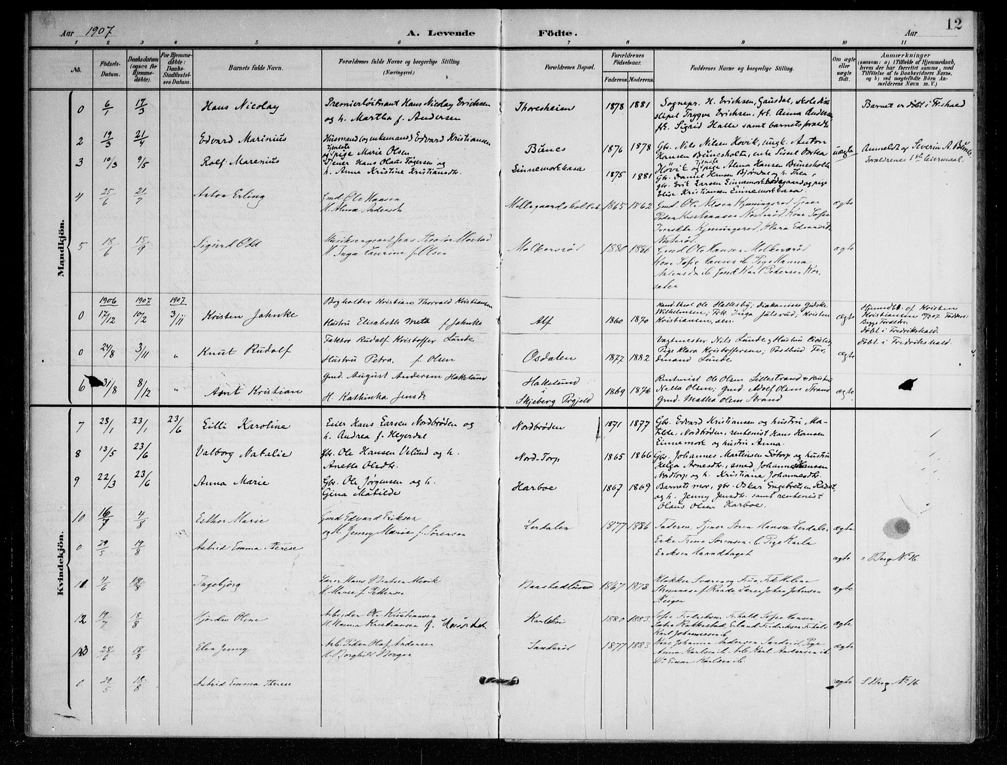 Berg prestekontor Kirkebøker, SAO/A-10902/F/Fc/L0003: Parish register (official) no. III 3, 1902-1916, p. 12