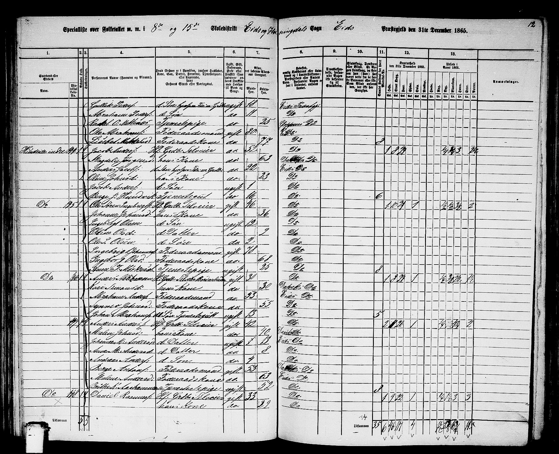RA, 1865 census for Eid, 1865, p. 81