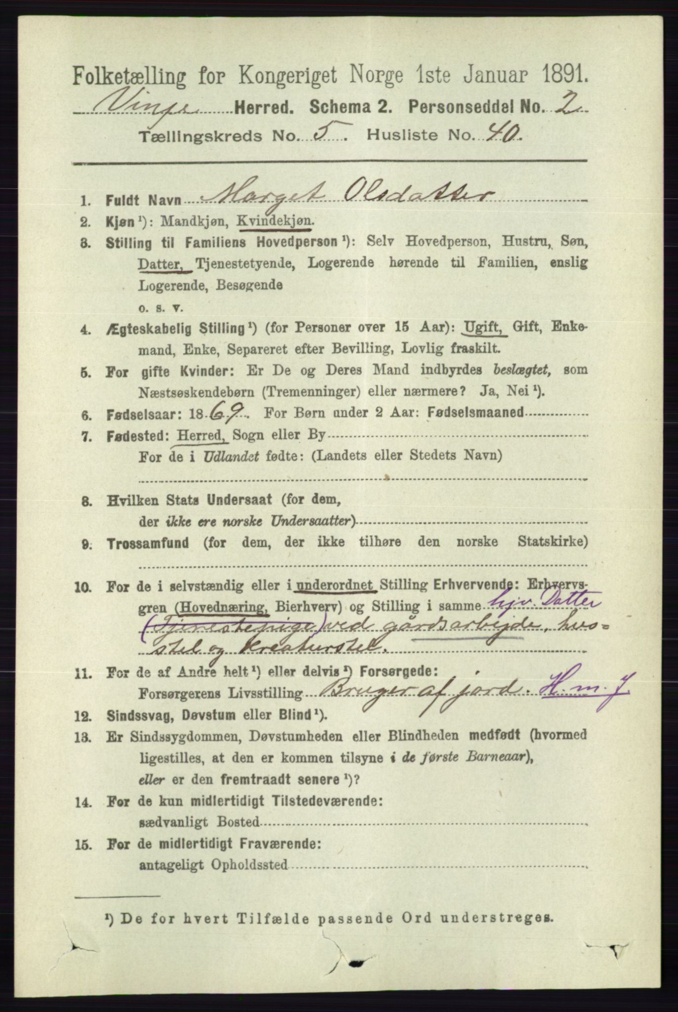 RA, 1891 census for 0834 Vinje, 1891, p. 1350