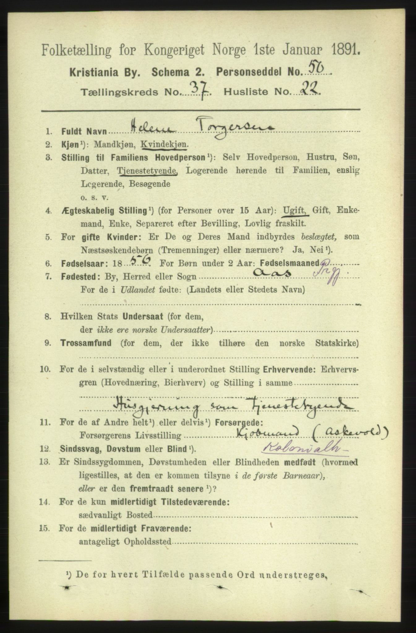 RA, 1891 census for 0301 Kristiania, 1891, p. 21029