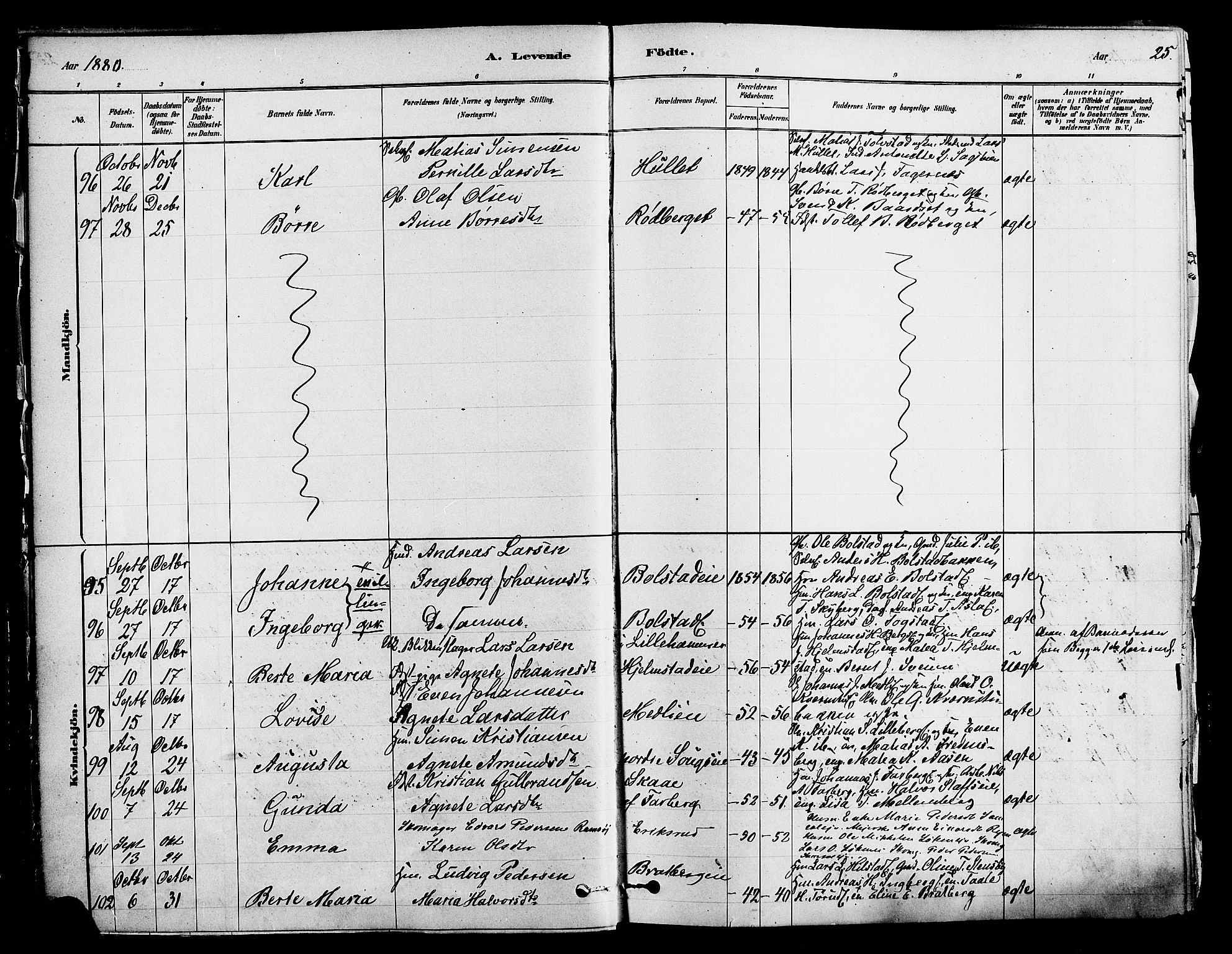 Ringsaker prestekontor, AV/SAH-PREST-014/K/Ka/L0012: Parish register (official) no. 12, 1879-1890, p. 25