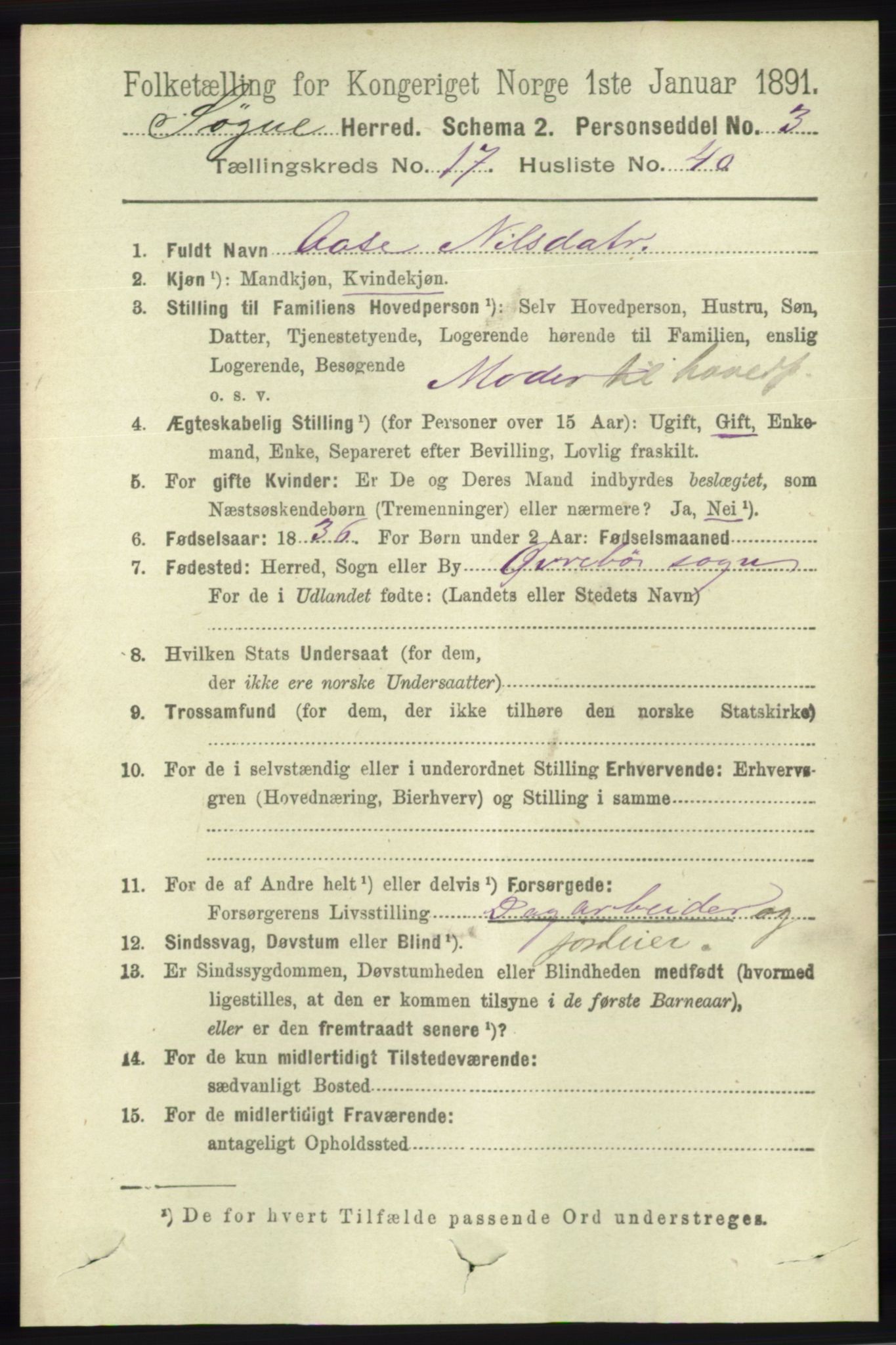 RA, 1891 census for 1018 Søgne, 1891, p. 4695