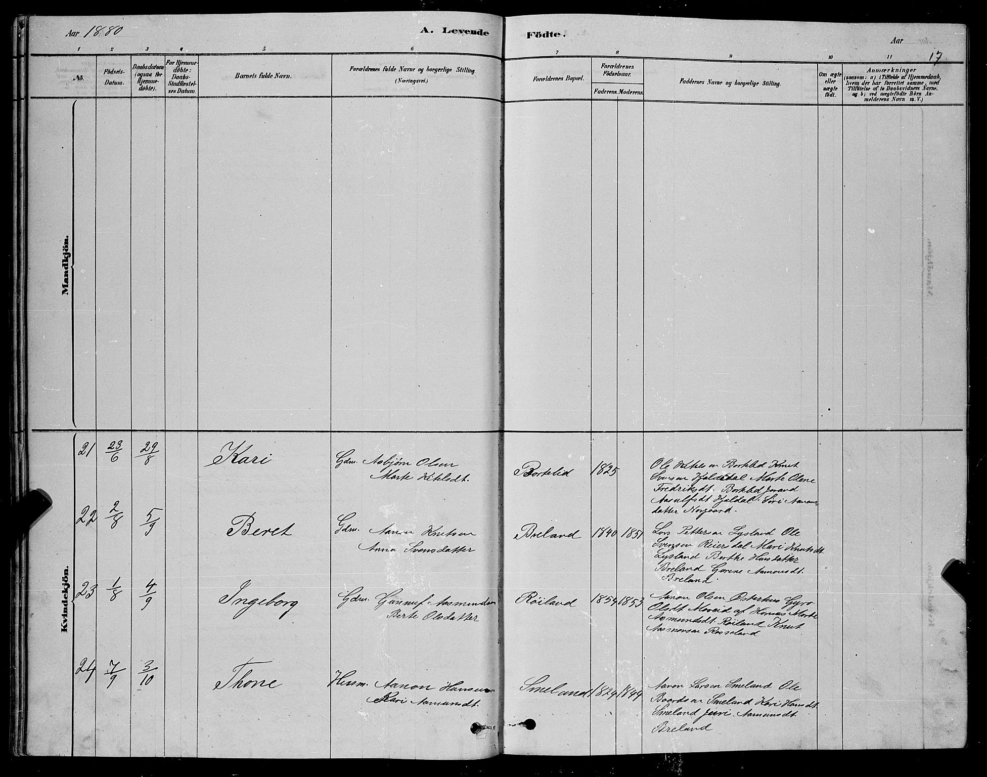 Åseral sokneprestkontor, AV/SAK-1111-0051/F/Fb/L0002: Parish register (copy) no. B 2, 1878-1899, p. 17