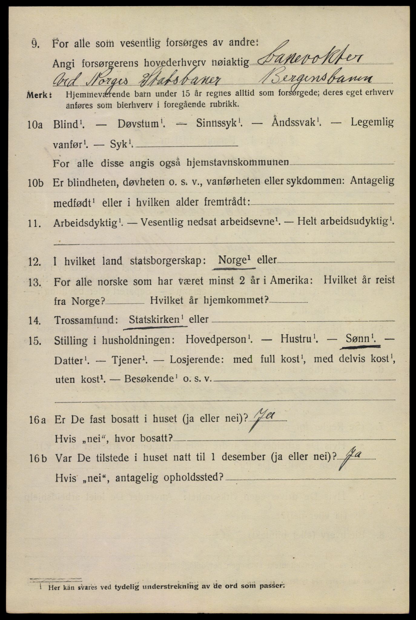 SAKO, 1920 census for Hønefoss, 1920, p. 2825