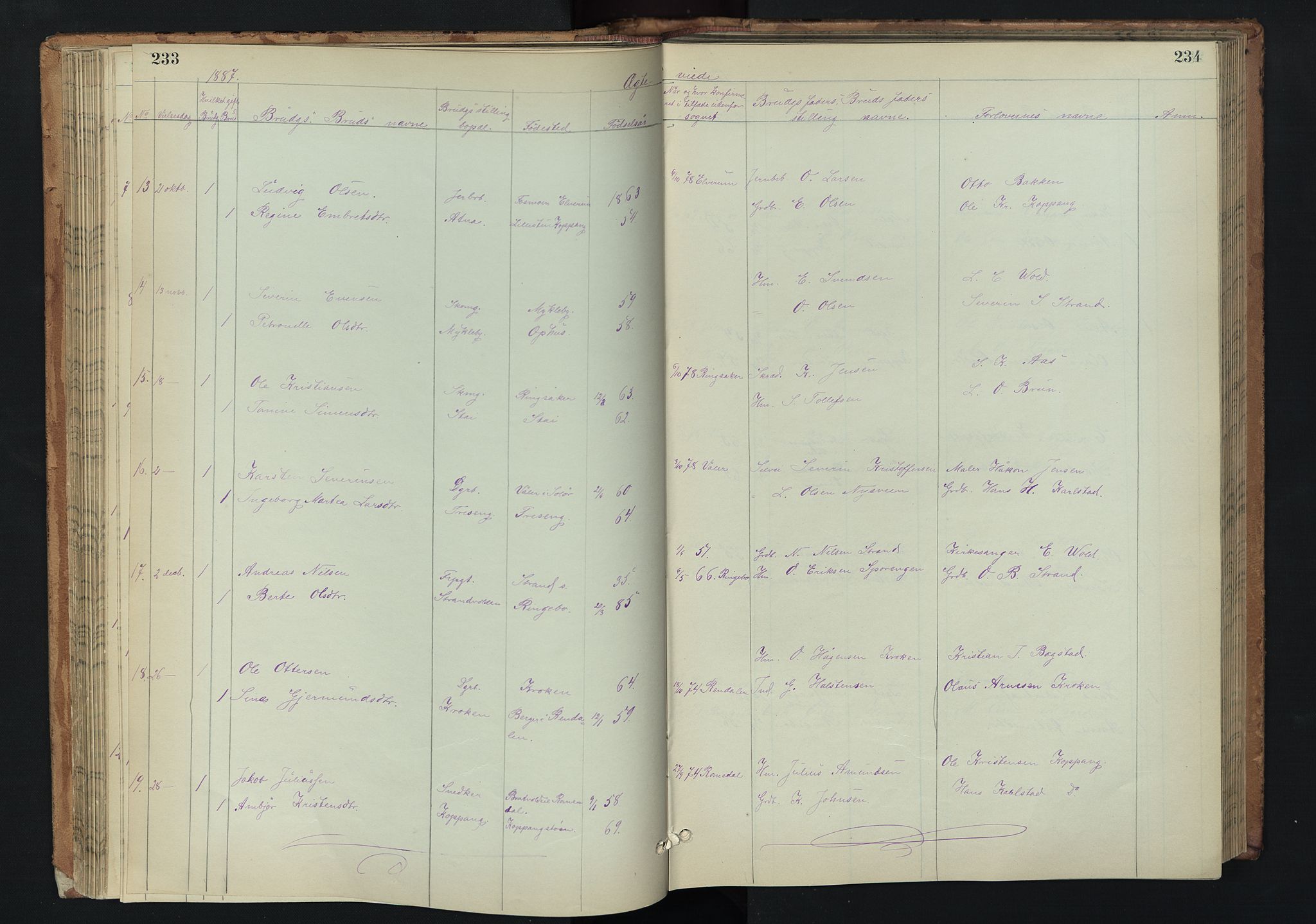 Stor-Elvdal prestekontor, AV/SAH-PREST-052/H/Ha/Hab/L0002: Parish register (copy) no. 2, 1860-1894, p. 233-234