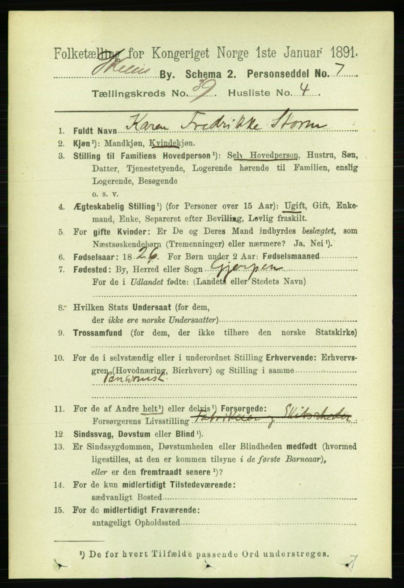 RA, 1891 census for 0806 Skien, 1891, p. 8270