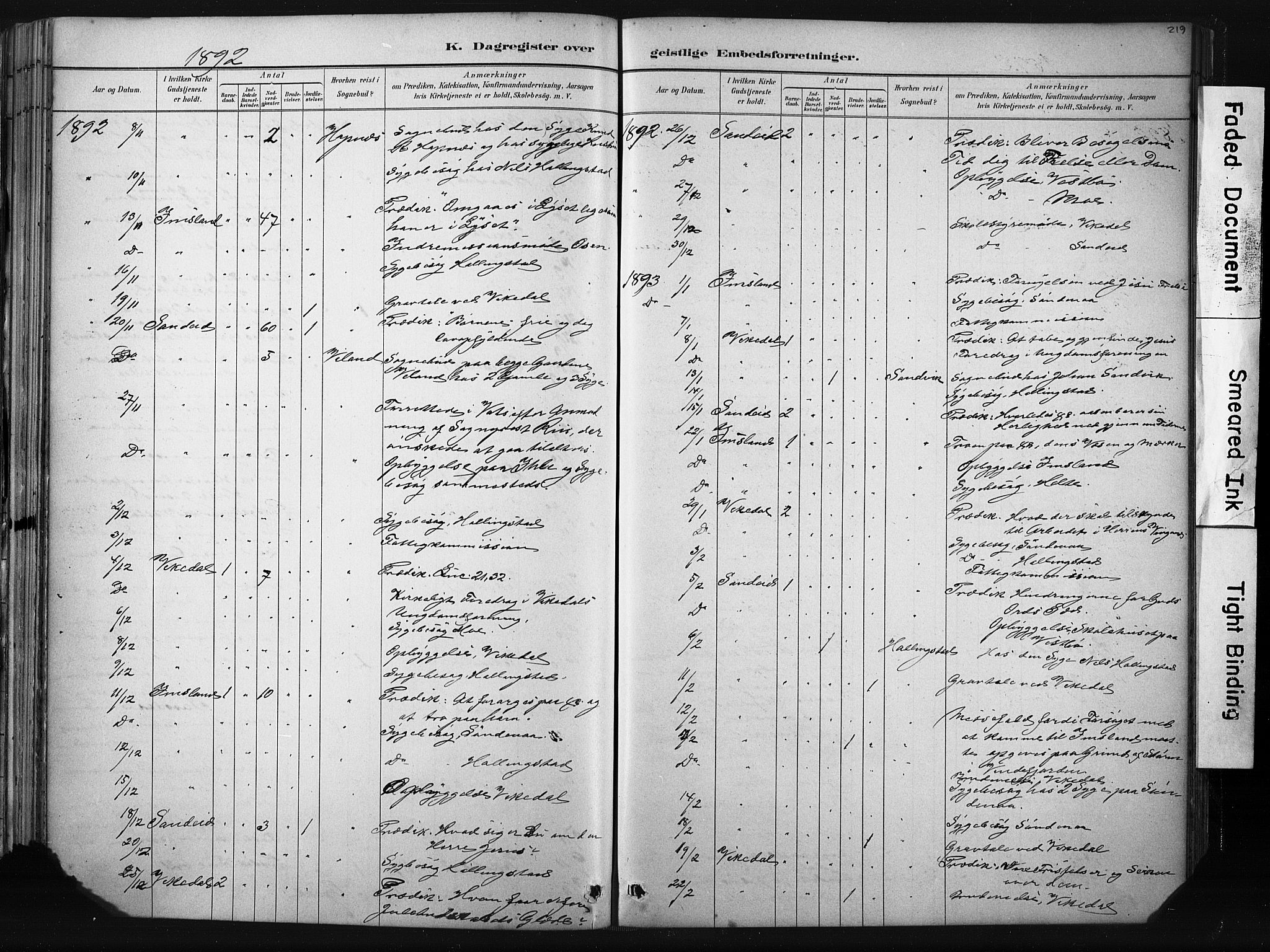 Vikedal sokneprestkontor, AV/SAST-A-101840/01/IV: Parish register (official) no. A 10, 1884-1907, p. 219