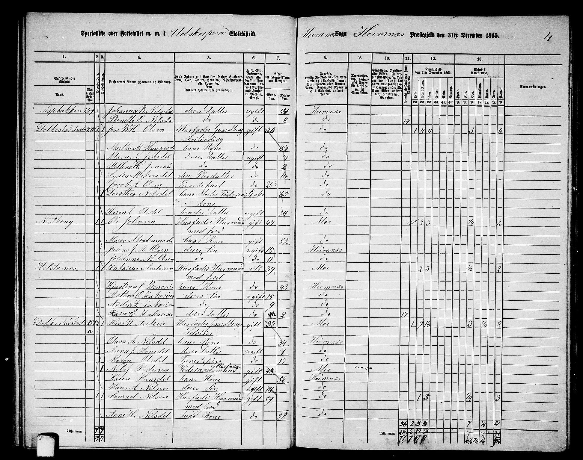 RA, 1865 census for Hemnes, 1865, p. 49