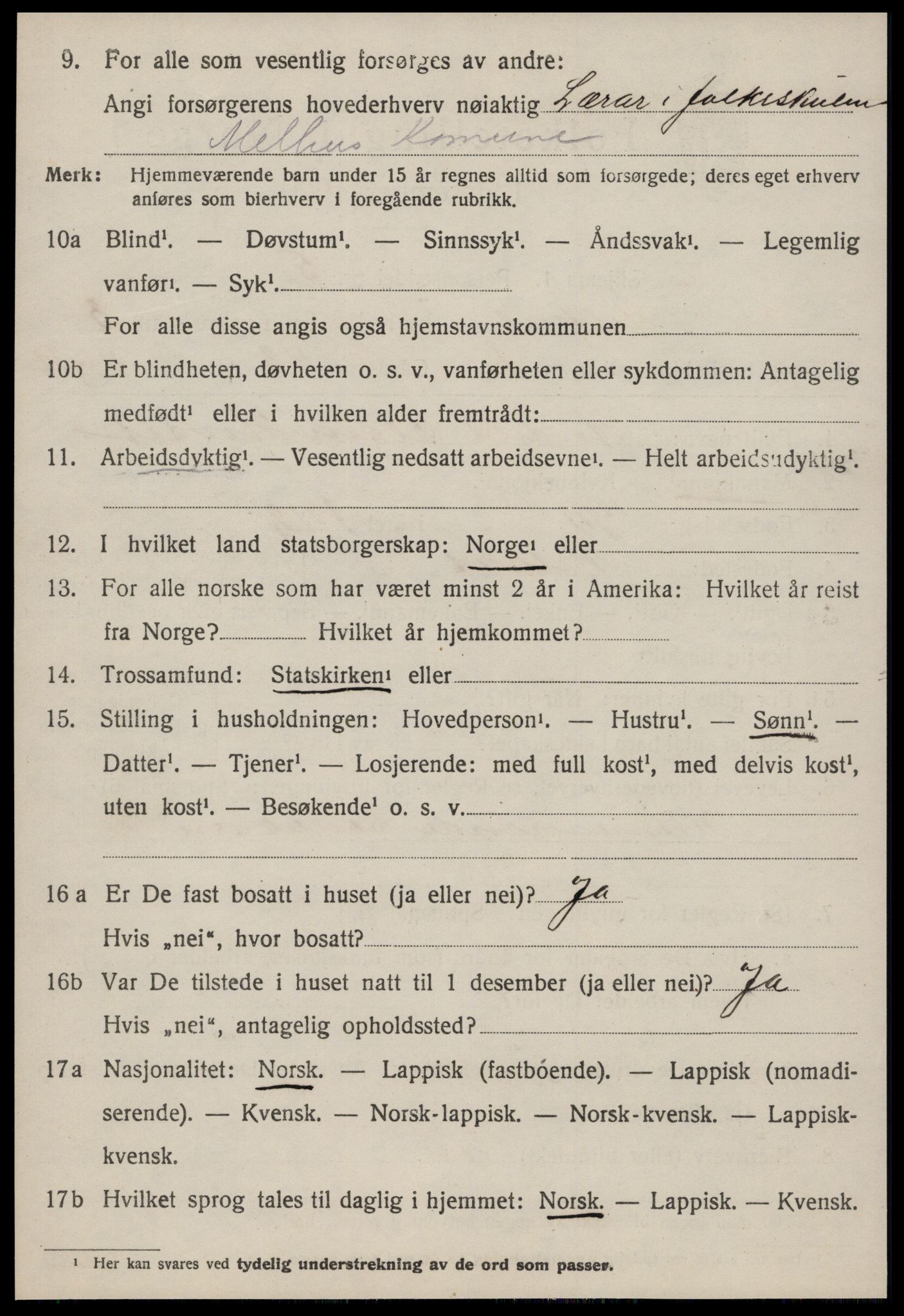 SAT, 1920 census for Melhus, 1920, p. 2602