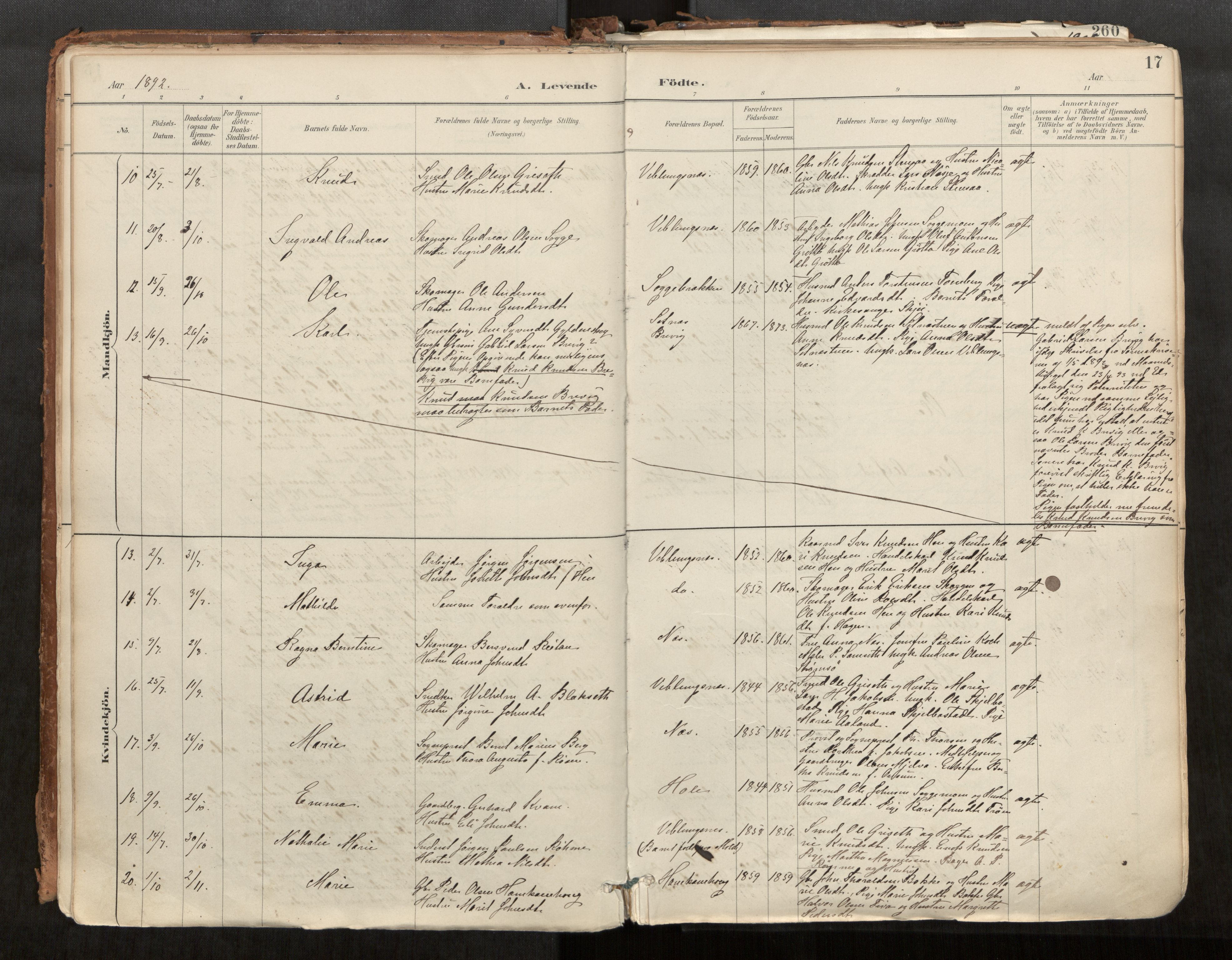 Ministerialprotokoller, klokkerbøker og fødselsregistre - Møre og Romsdal, AV/SAT-A-1454/544/L0585: Parish register (official) no. 544A06, 1887-1924, p. 17