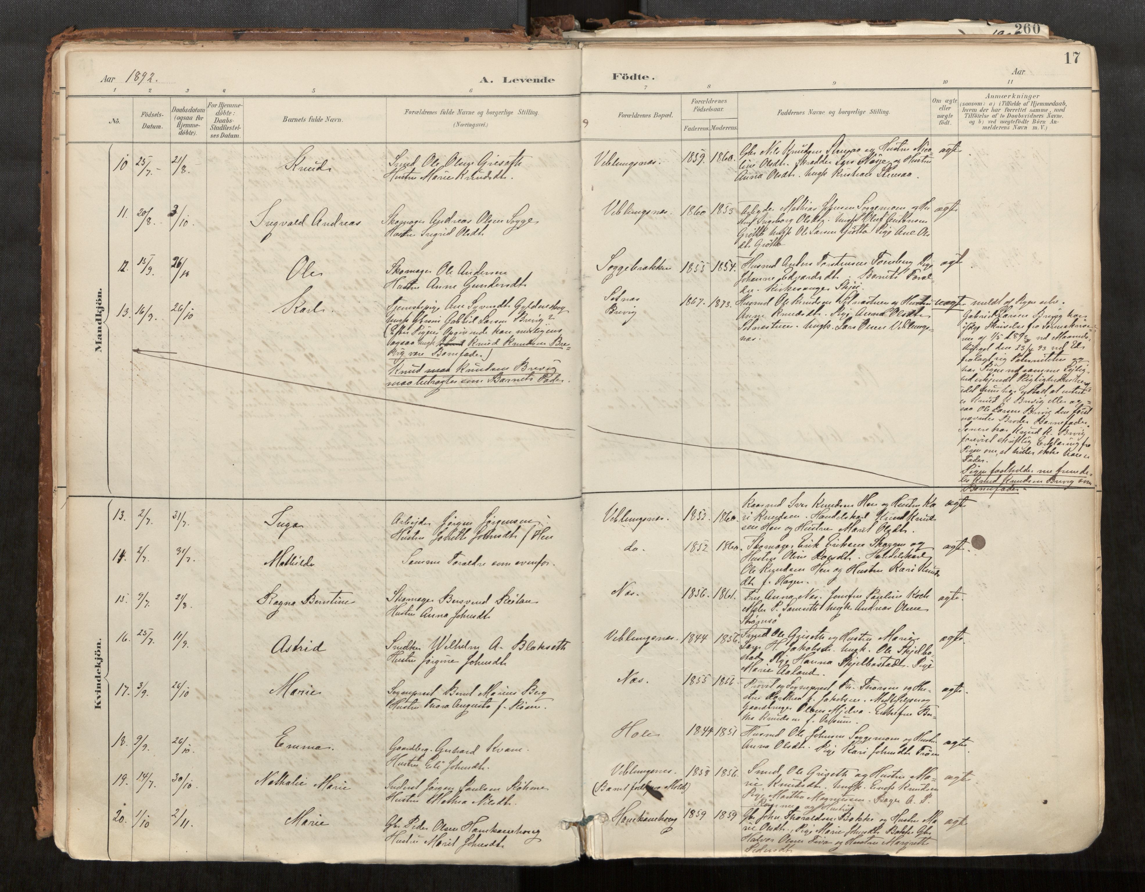 Ministerialprotokoller, klokkerbøker og fødselsregistre - Møre og Romsdal, SAT/A-1454/544/L0585: Parish register (official) no. 544A06, 1887-1924, p. 17