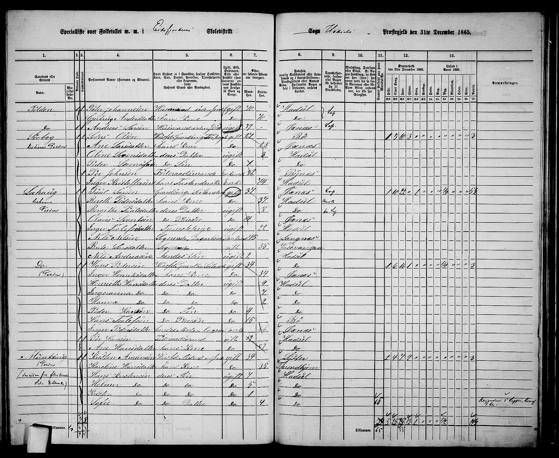 RA, 1865 census for Hadsel, 1865, p. 139