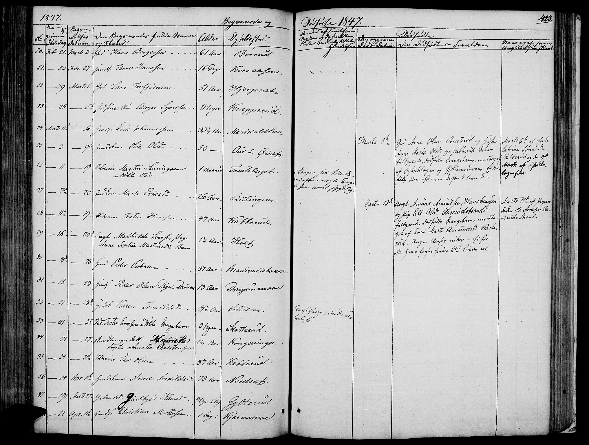 Vinger prestekontor, AV/SAH-PREST-024/H/Ha/Haa/L0008: Parish register (official) no. 8, 1839-1847, p. 423