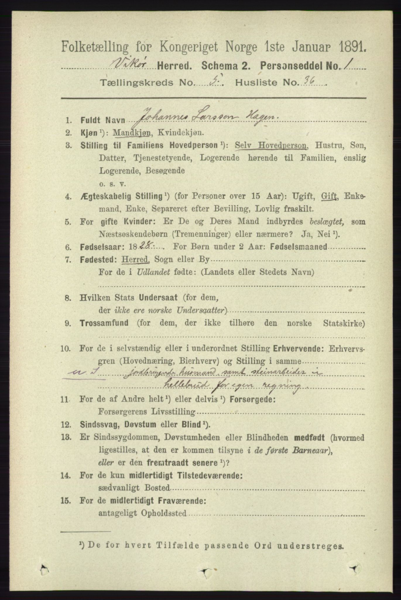 RA, 1891 census for 1238 Vikør, 1891, p. 1601