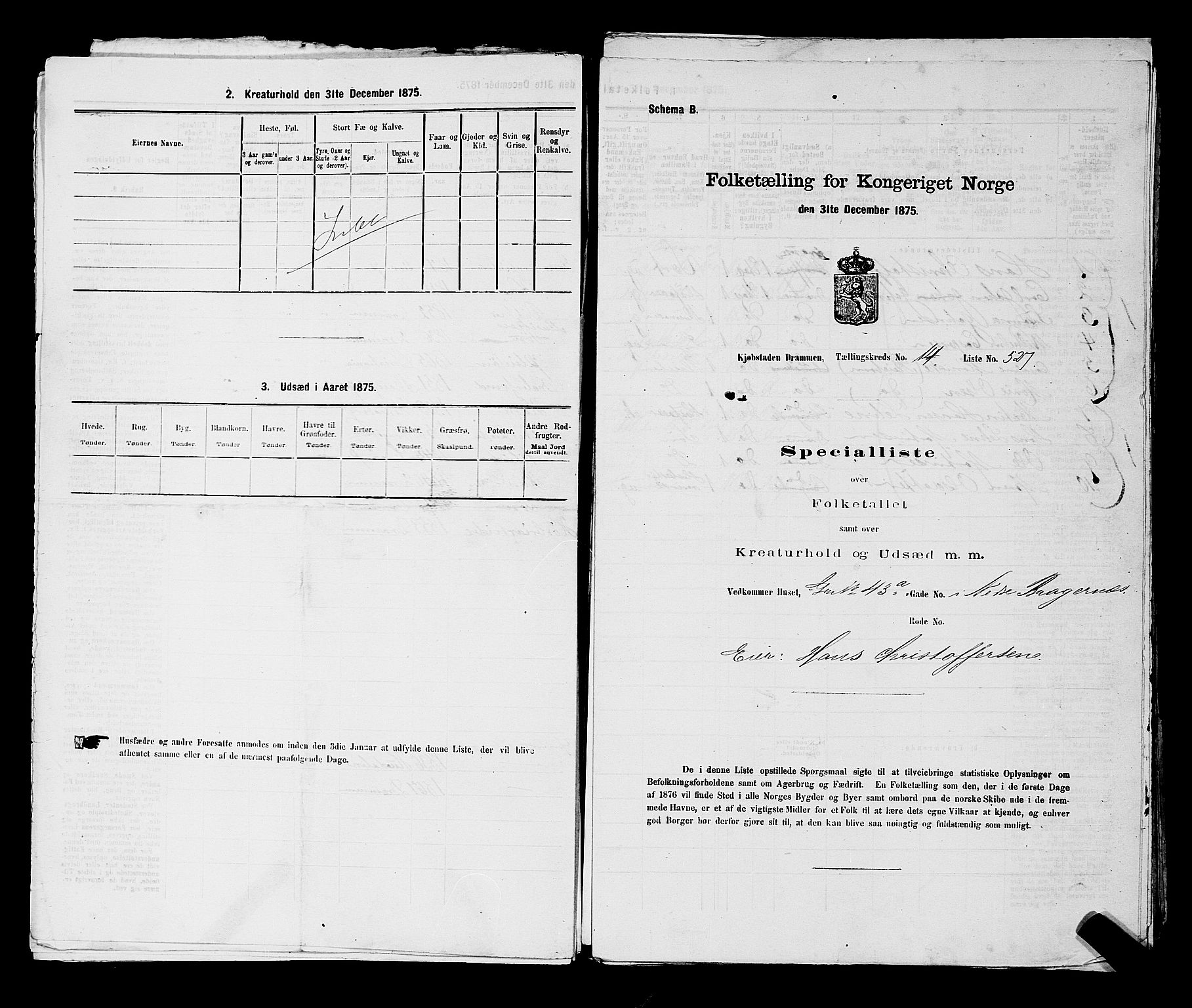 SAKO, 1875 census for 0602 Drammen, 1875, p. 1494