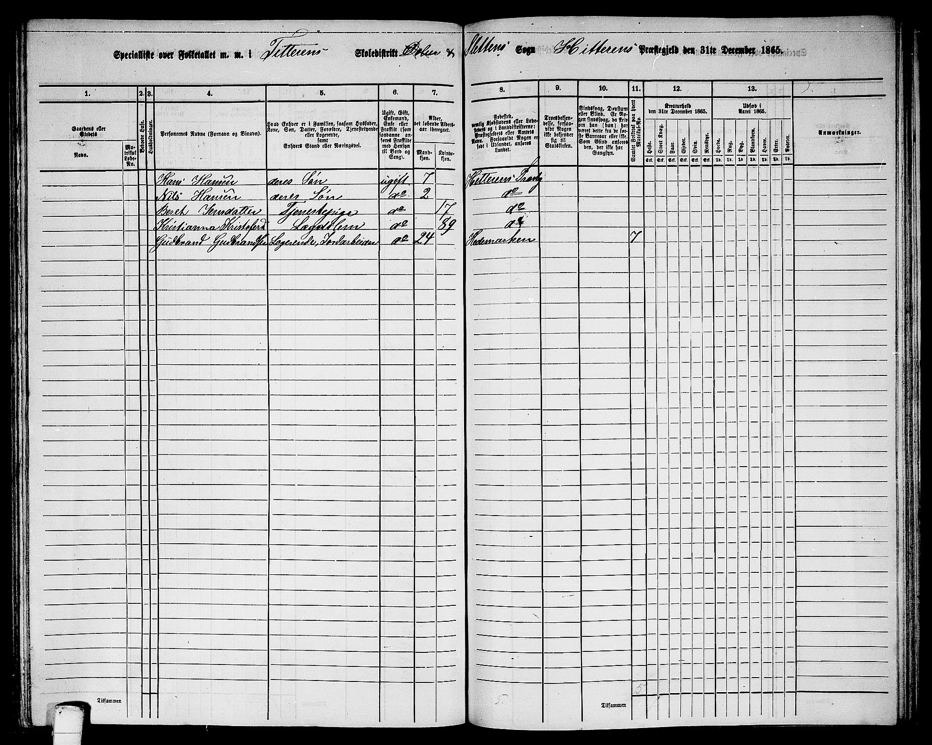 RA, 1865 census for Hitra, 1865, p. 256