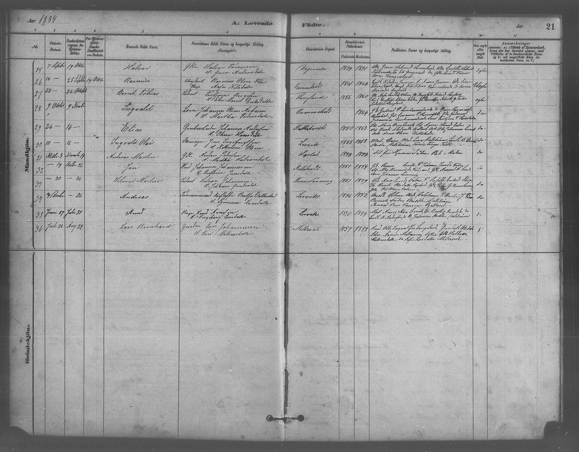 Stord sokneprestembete, AV/SAB-A-78201/H/Hab: Parish register (copy) no. A 2, 1879-1909, p. 21