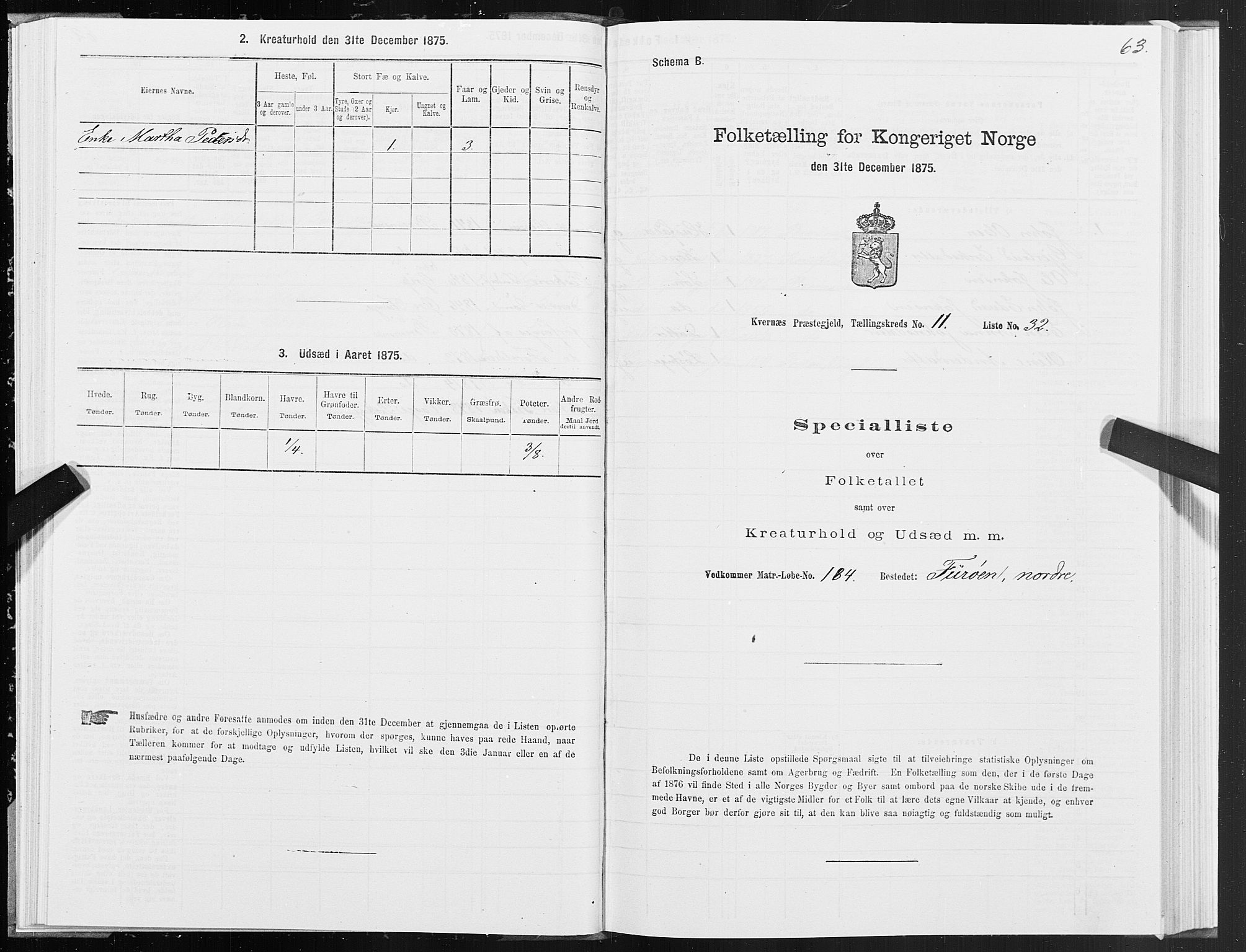 SAT, 1875 census for 1553P Kvernes, 1875, p. 6063