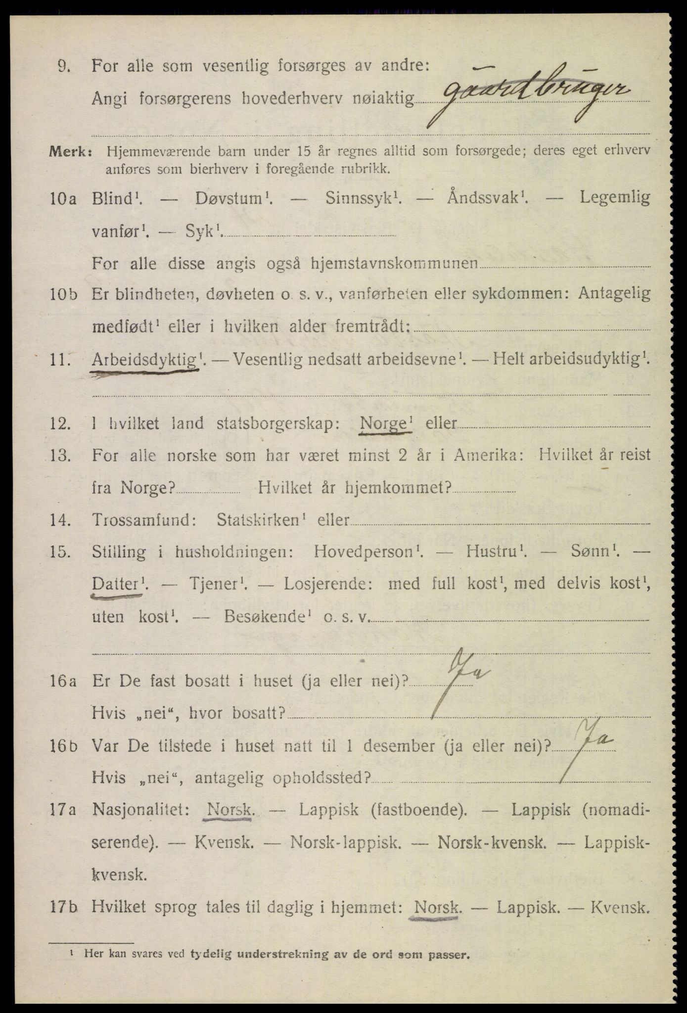 SAT, 1920 census for Saltdal, 1920, p. 1720